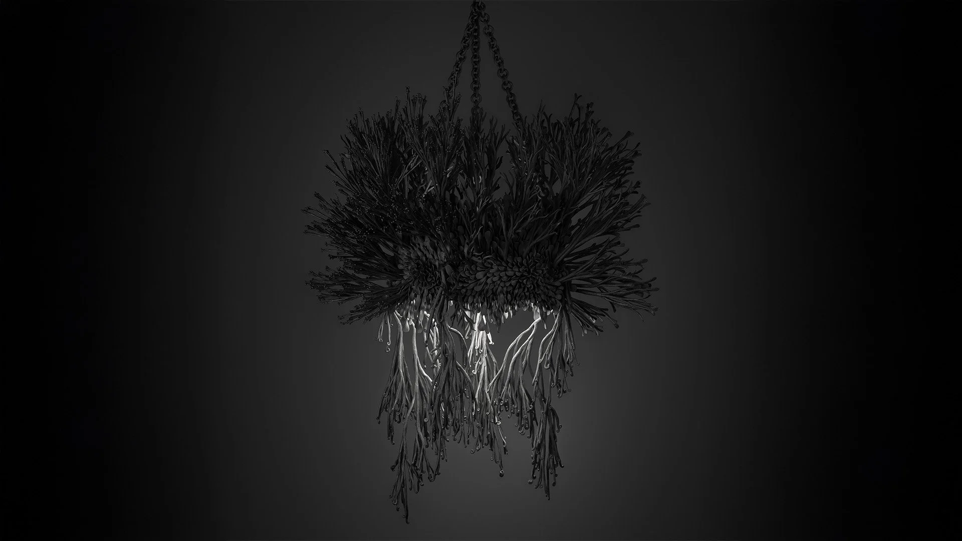 JM991.mori.sassoon_1_(c) Stephen Heaton_Extended.jpg