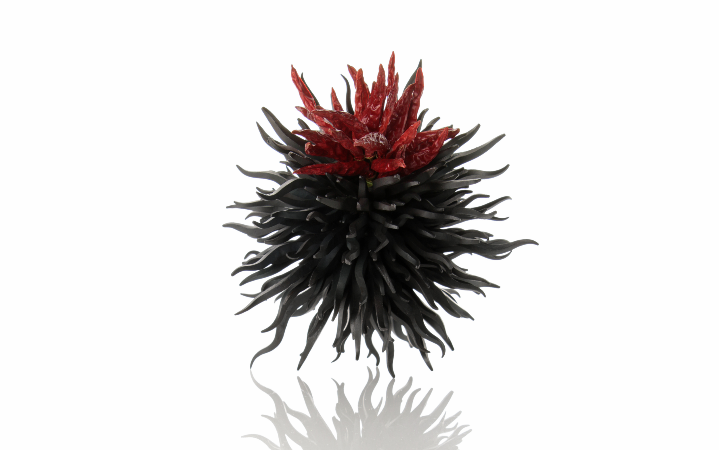 Untitled design-15.png