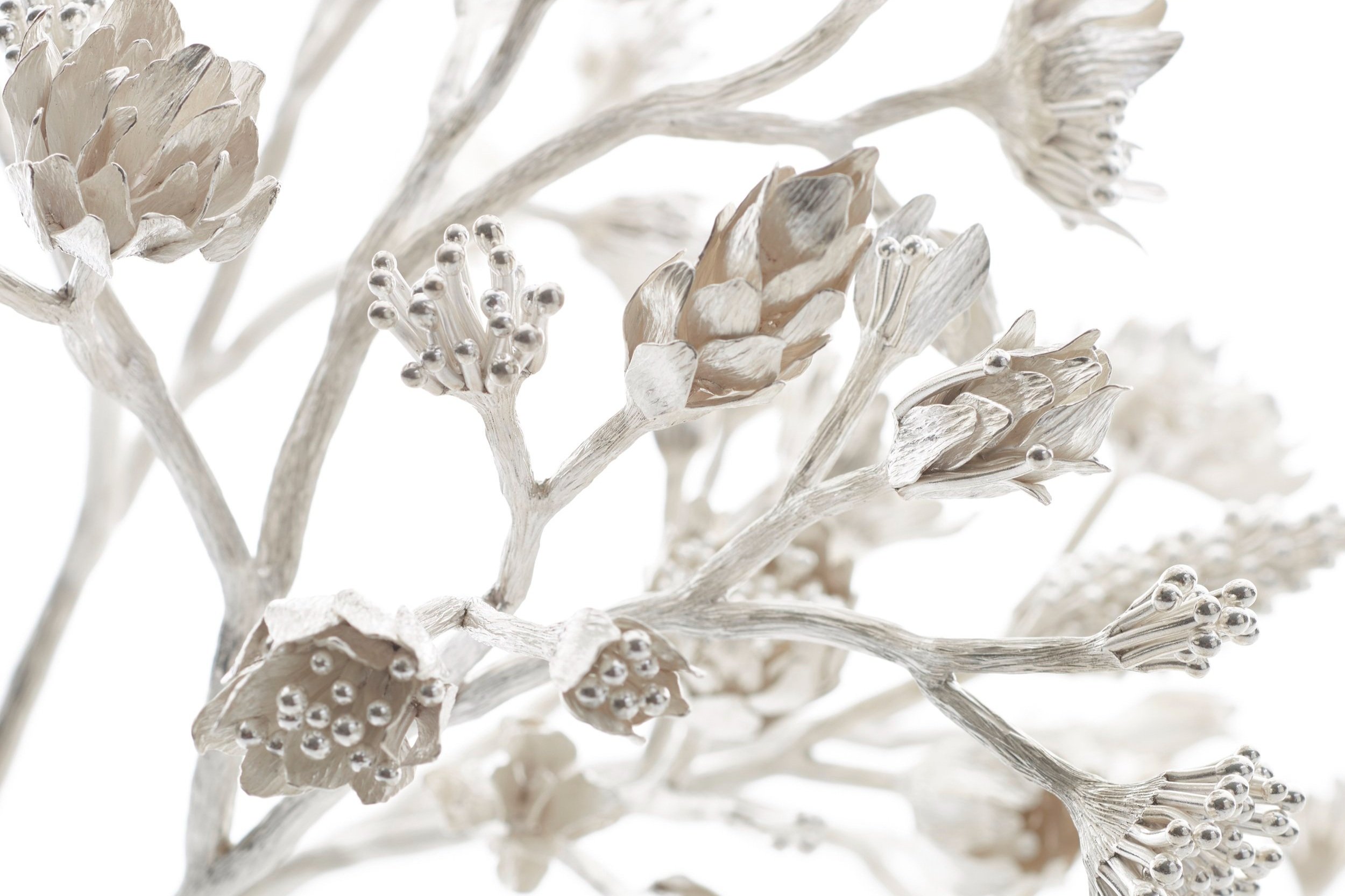 JM659.ii.mori.sassoon_(c)Sylvain Deleu.jpg