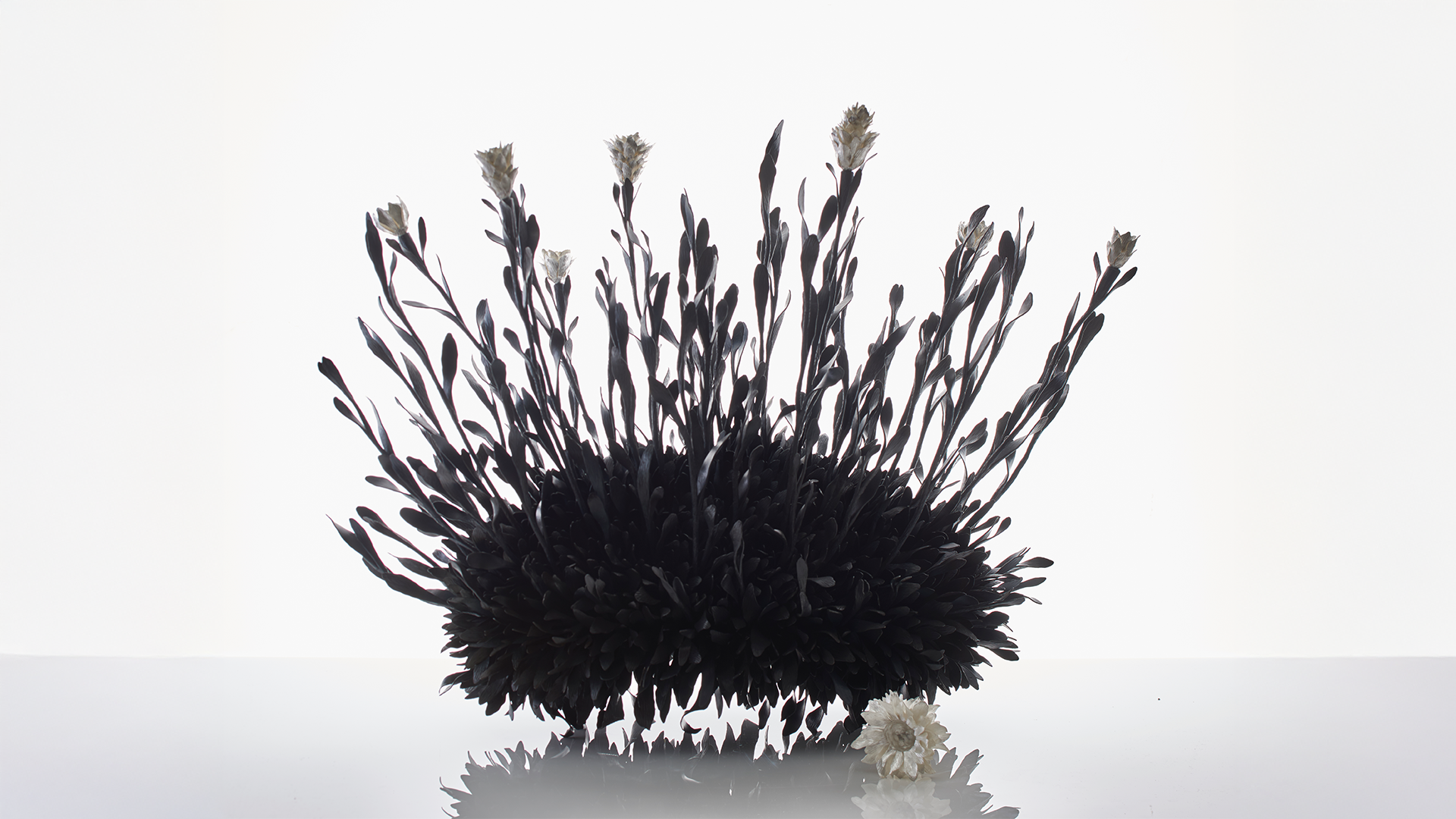 JM633_Sylvain Deleu_2_extended.png