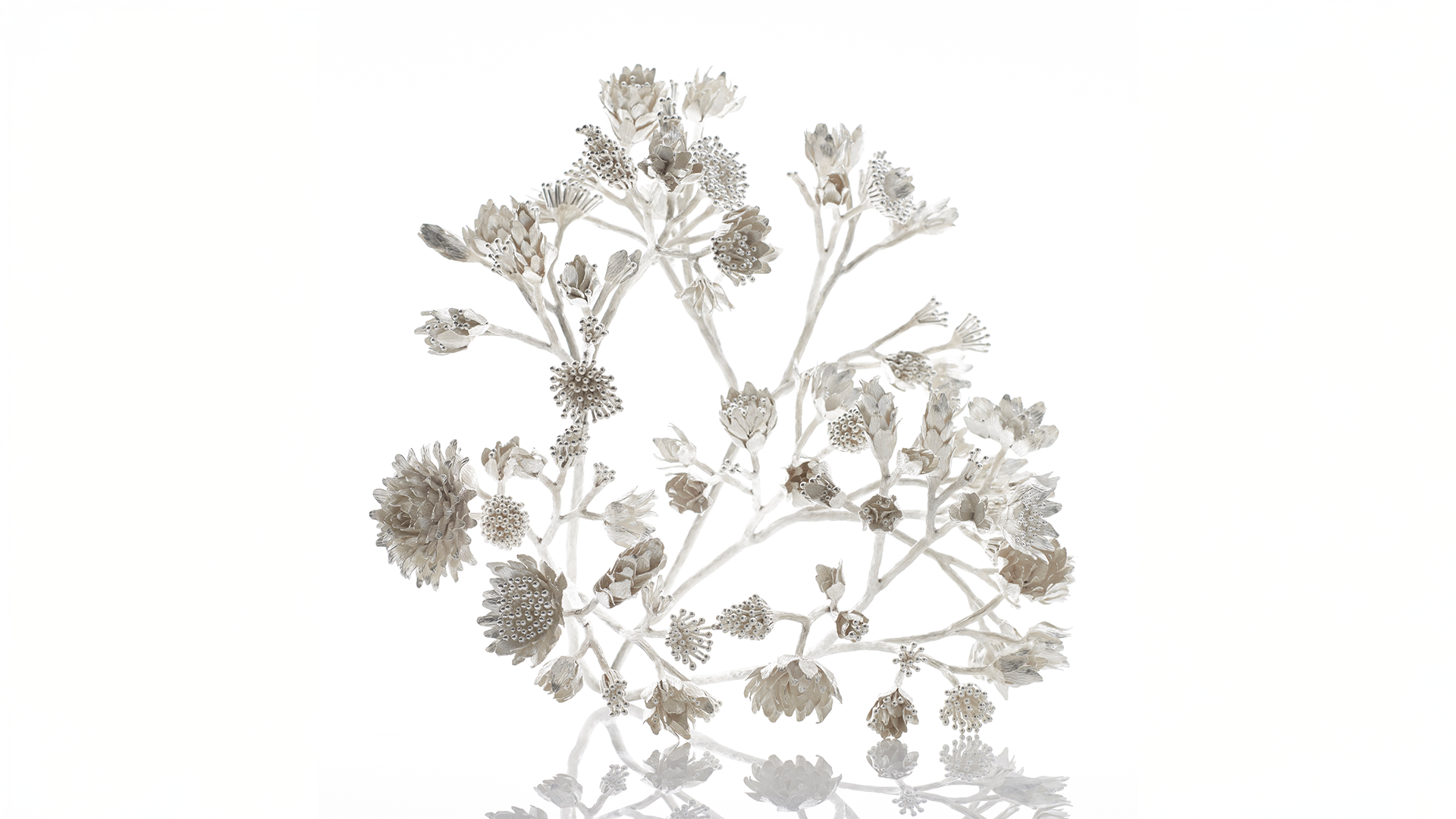 JM659.mori.sassoon_(c)Sylvain Deleu_Extended.png