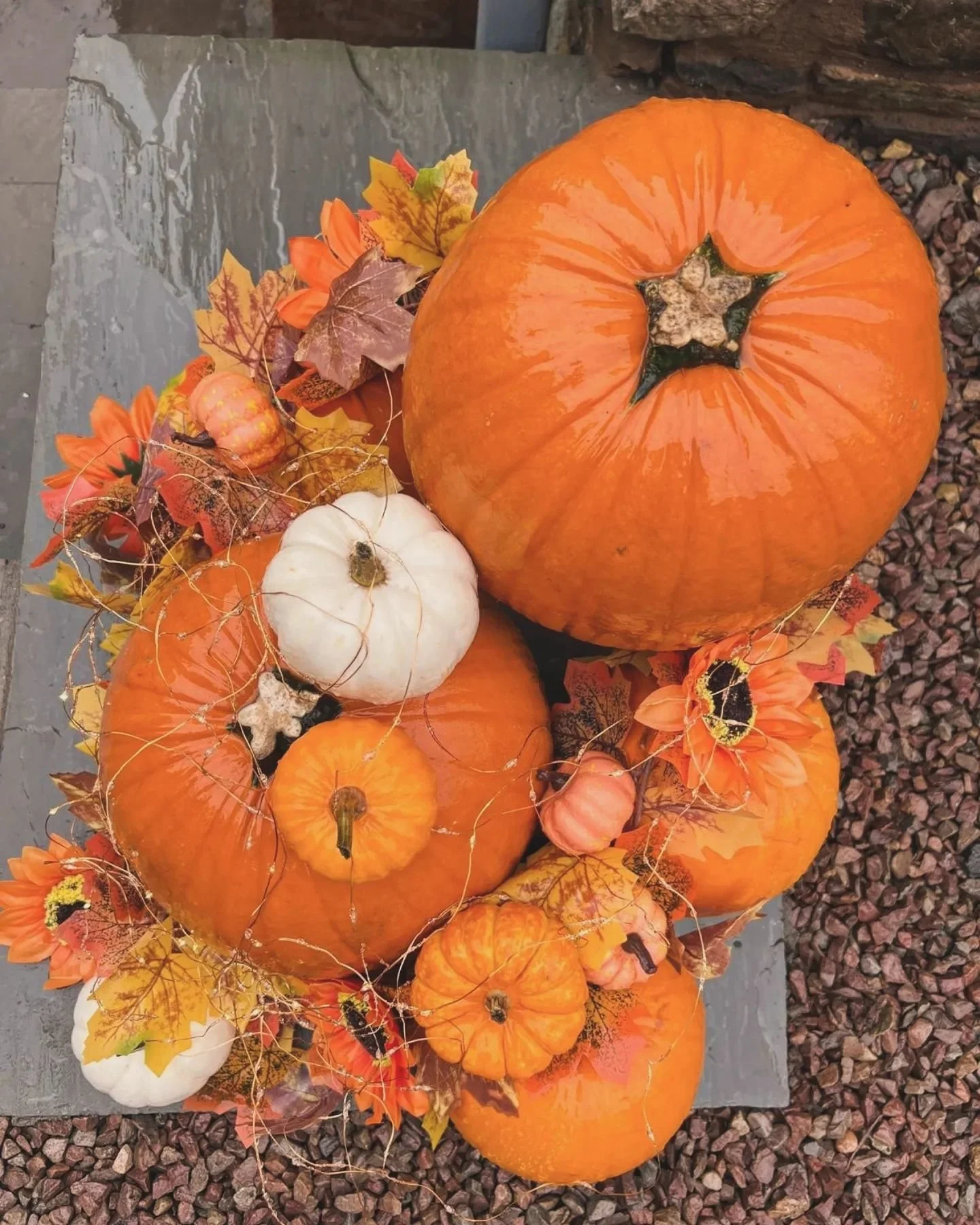 No tricks, just treats 🎃✨

Halloween is the perfect excuse for you and your family to indulge in a well earned break at The Cwtch. Nowhere is a better backdrop to your Halloween break than Pen-Y-Worlod cottages. Chill in the hot tub and then warm up