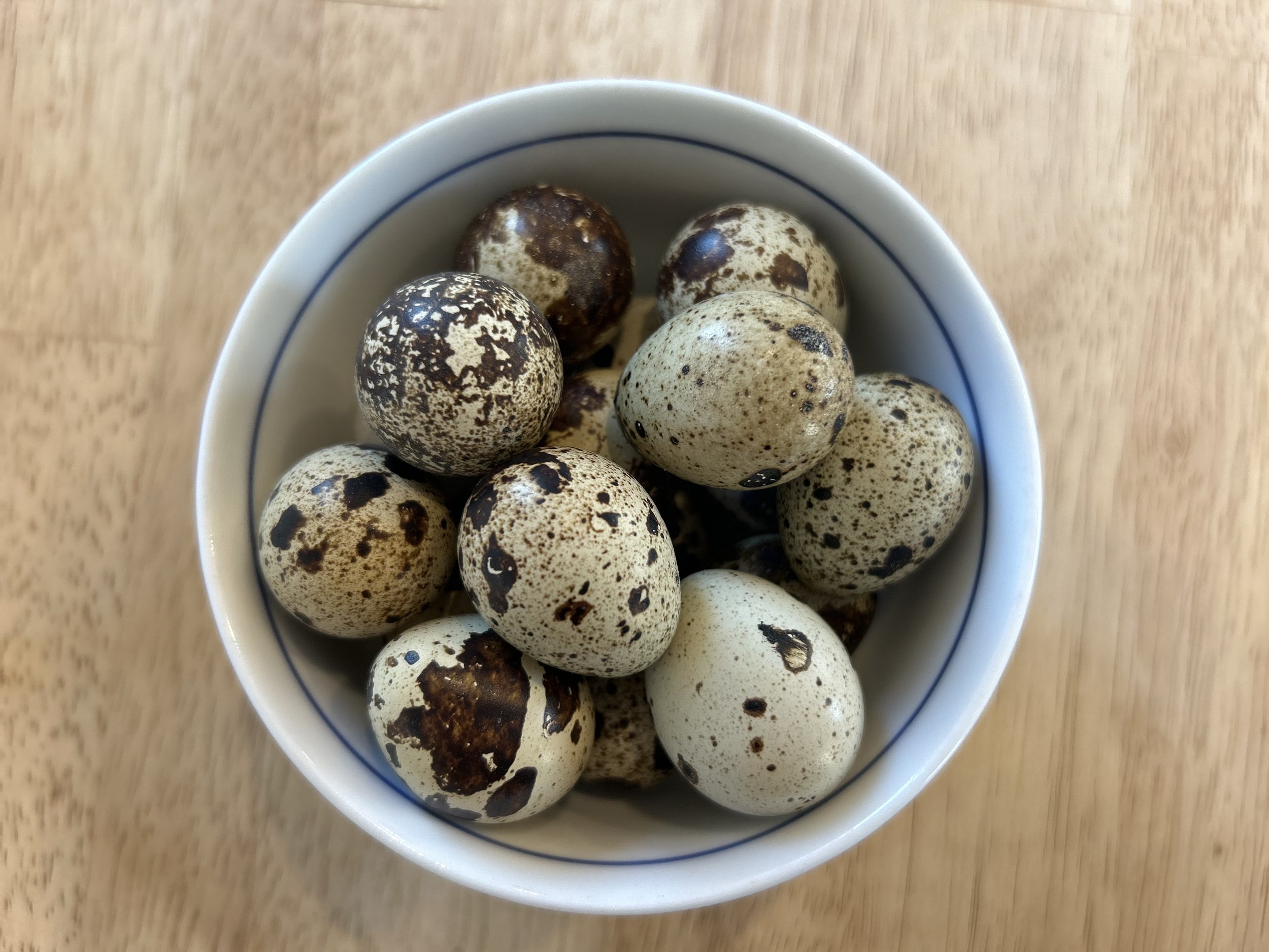 eggs in bowl.jpeg