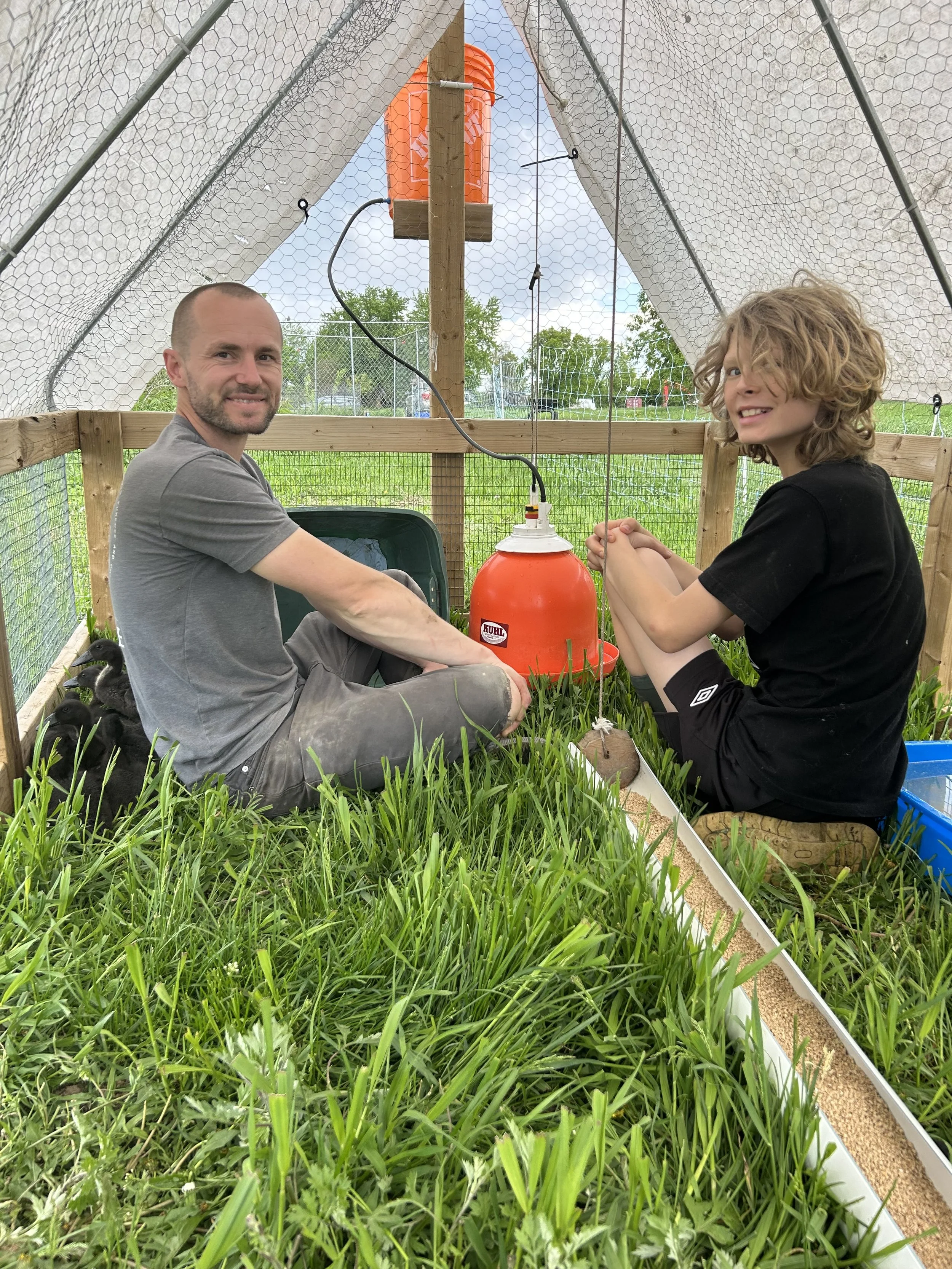 A man and a boy sitting inside a small greenhouse with grass on the floor, watering plants with an orange watering can. The greenhouse is made of a wireframe covered in white mesh; there is a small wooden platform above them and a watering system hanging from it.