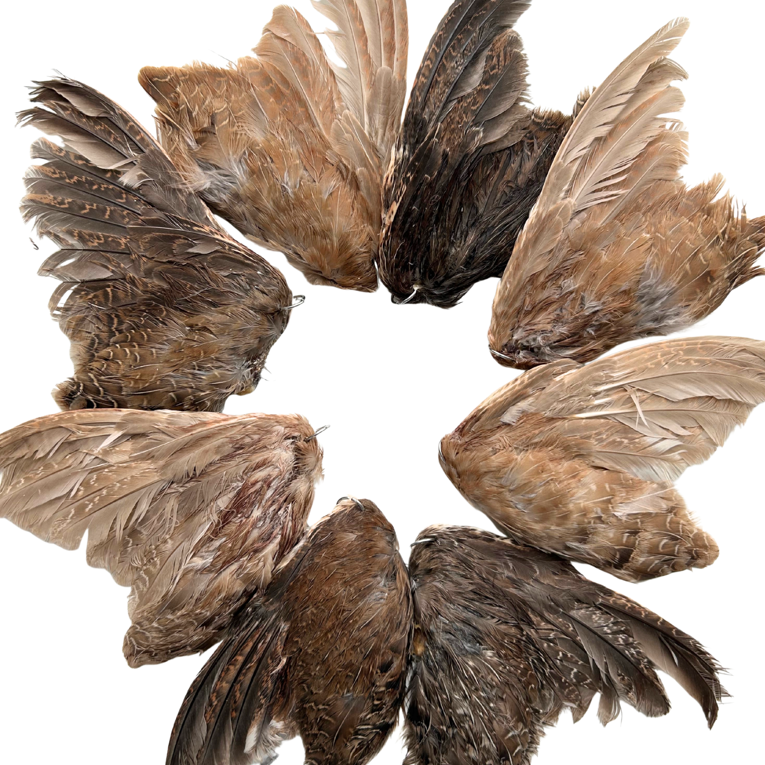 Natural quail wings for cat wand toy