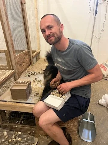 A man sitting on a wooden stool holding a small piglet, with a litter of piglets nearby in a farm setting.