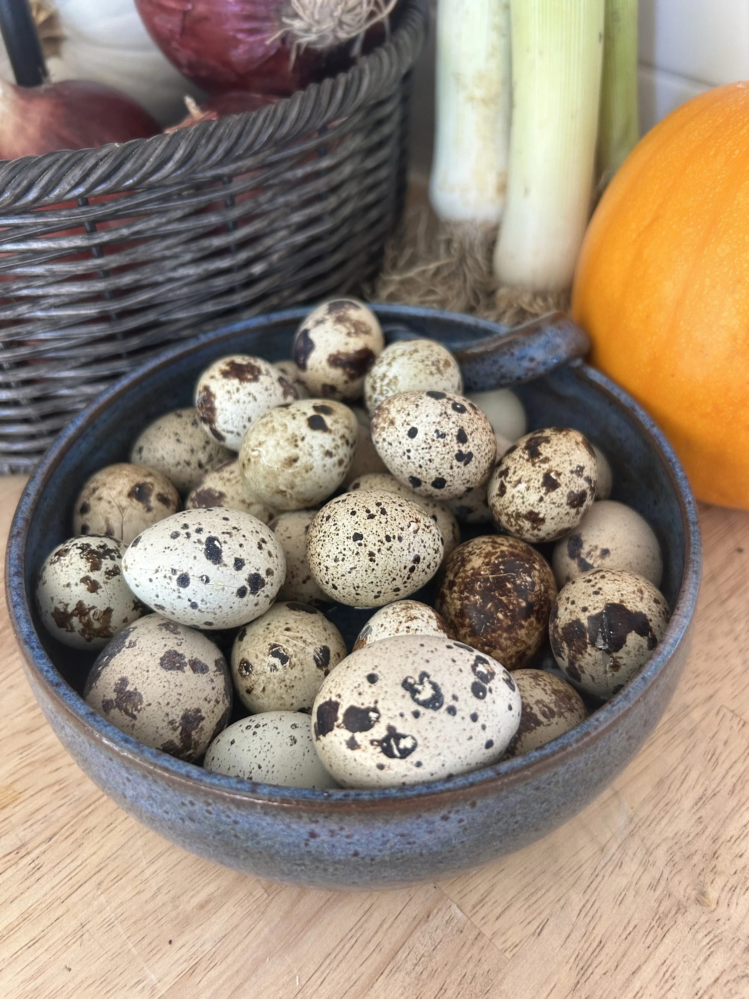 Grass fed quail eggs in a bowl on a table. They are in Ottawa, Canada.