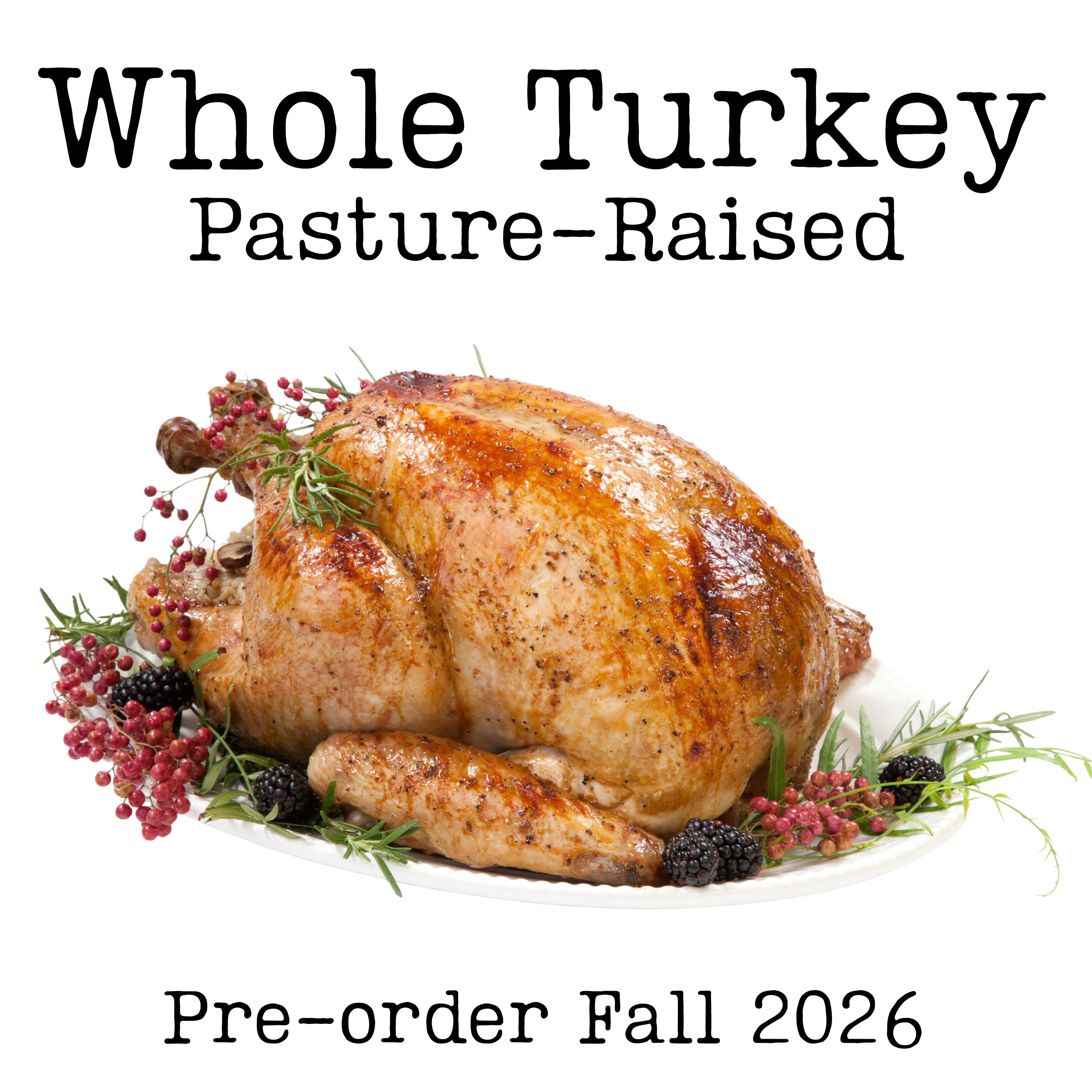 Pasture-Raised Whole Turkey