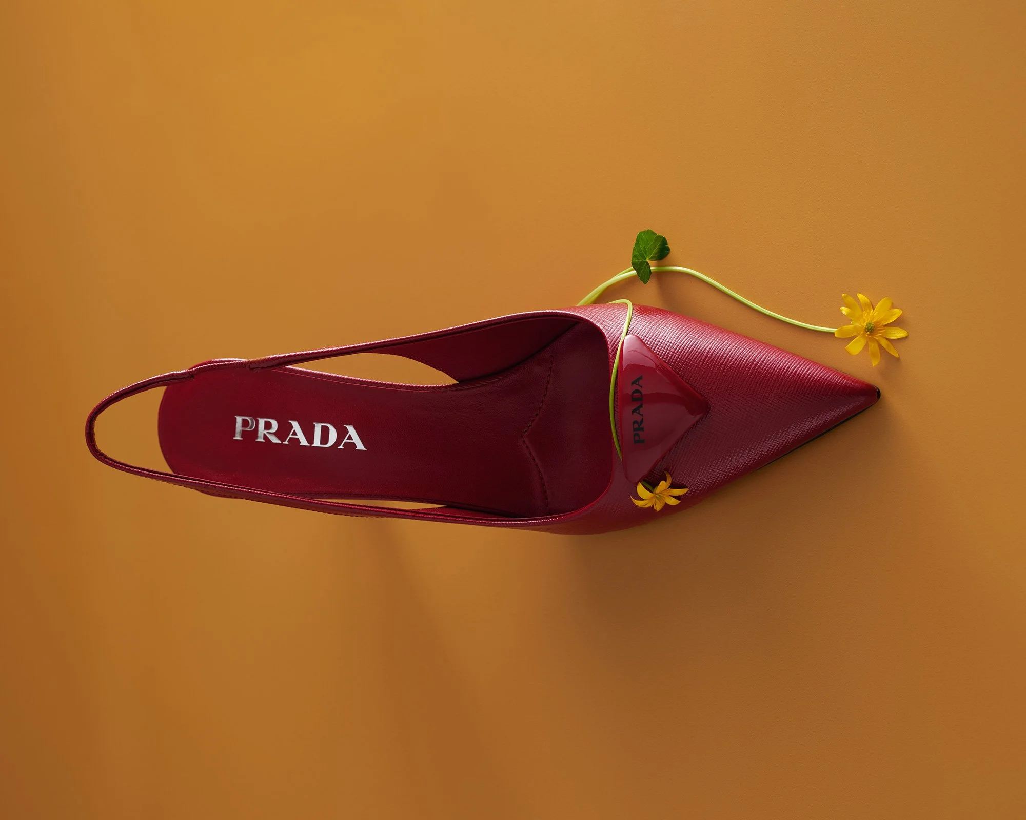 PRADA_0047.jpg