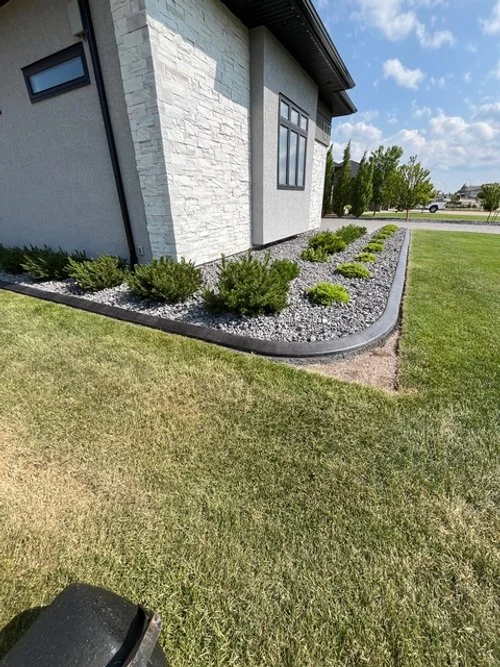 Garden bed with small bushes and plants along the side of a white house with gray stone accents on a sunny day.