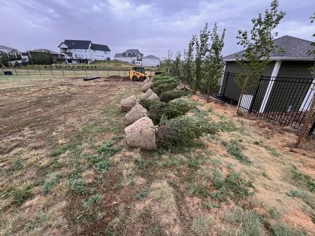 Yard with a row of rocks, small trees, and shrubs along the edge, neighboring houses in the background, and a yellow construction vehicle nearby.