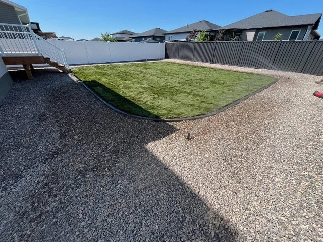 Backyard with grass lawn surrounded by gravel and fenced with white and black fences in a suburban neighborhood.