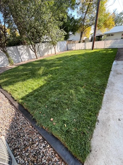 A backyard with a well-maintained grassy lawn, bordered by a concrete sidewalk on the right and gravel on the left, with a white fence and trees in the background.