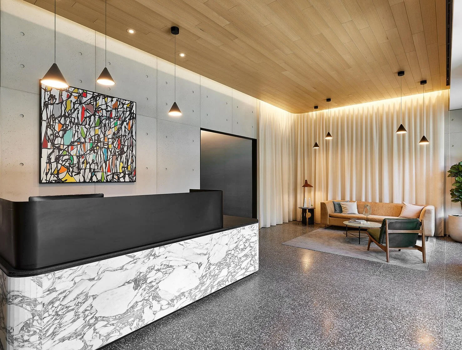 magnolia dumbo .jpeg