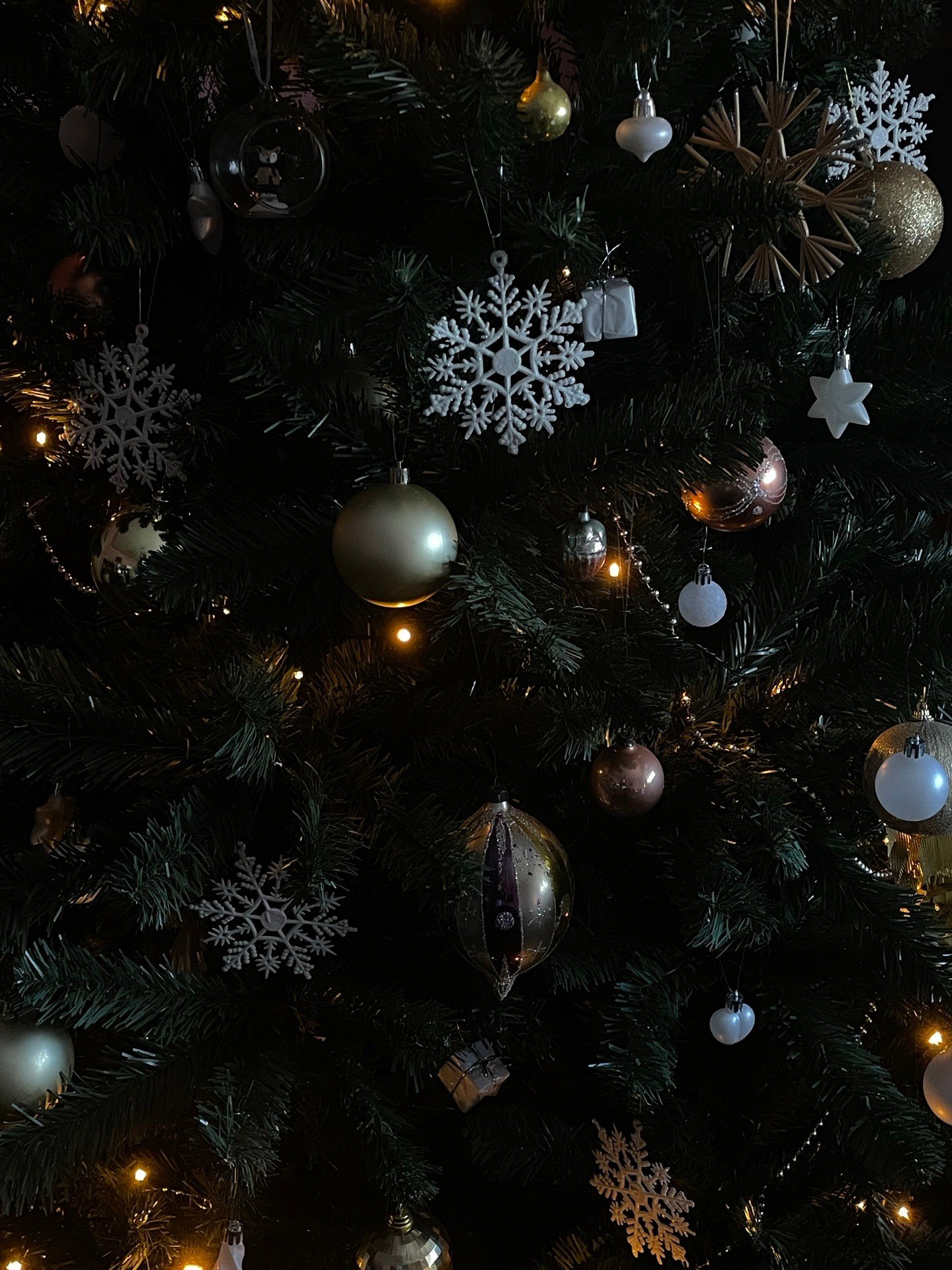 It's the holiday season and the perfect way to get in the spirit is by joining us TOMORROW for Holidays on Hammell with @shoplocalraleigh! 🛍️✨

Wander through local vendor booths, pick up one-of-a-kind gifts, enjoy bites from local food trucks, and 