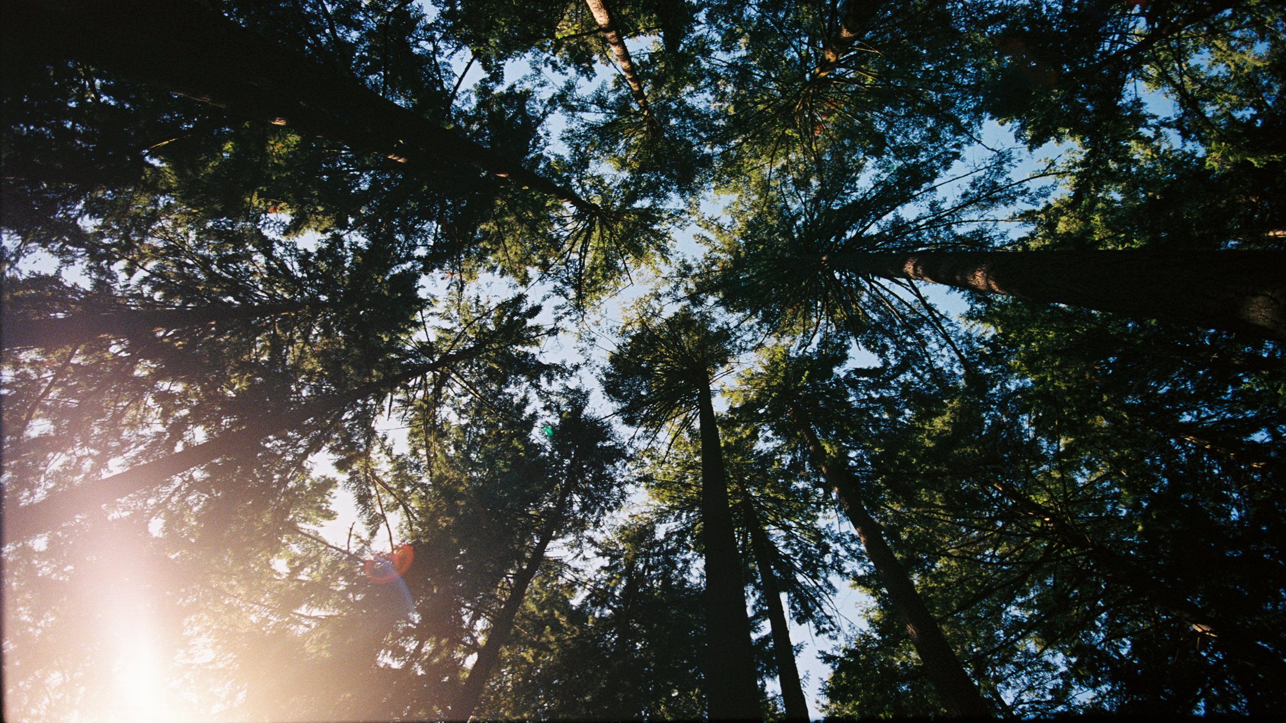 bw1292178590-R1-021-9 copy.jpg