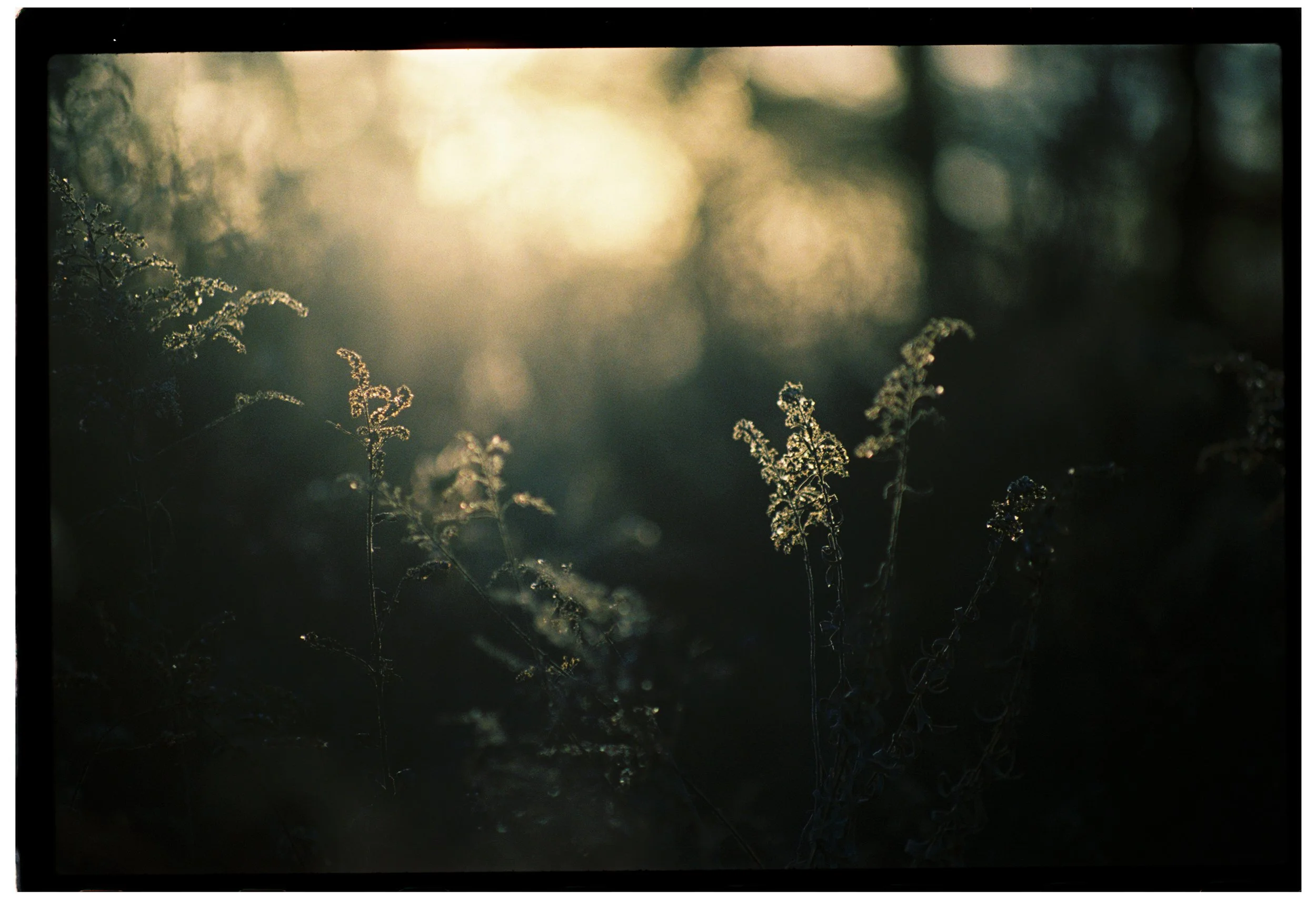 bw3886182924-R1-023-10 copy.jpg