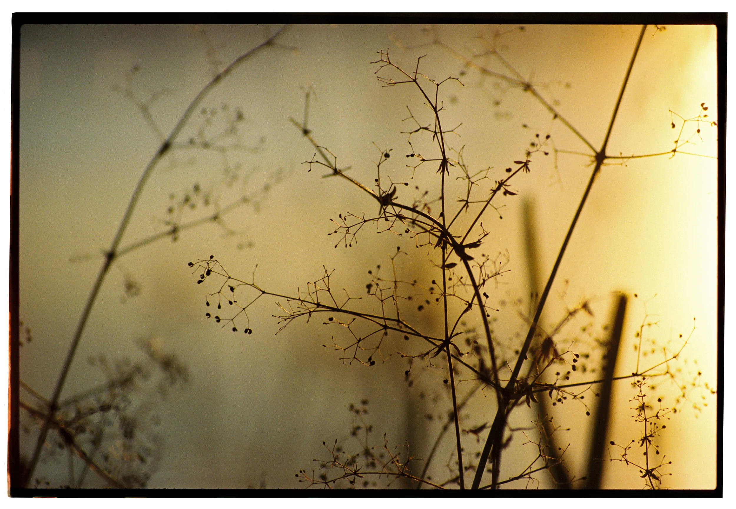 bw3886182924-R1-031-14 copylvl.jpg