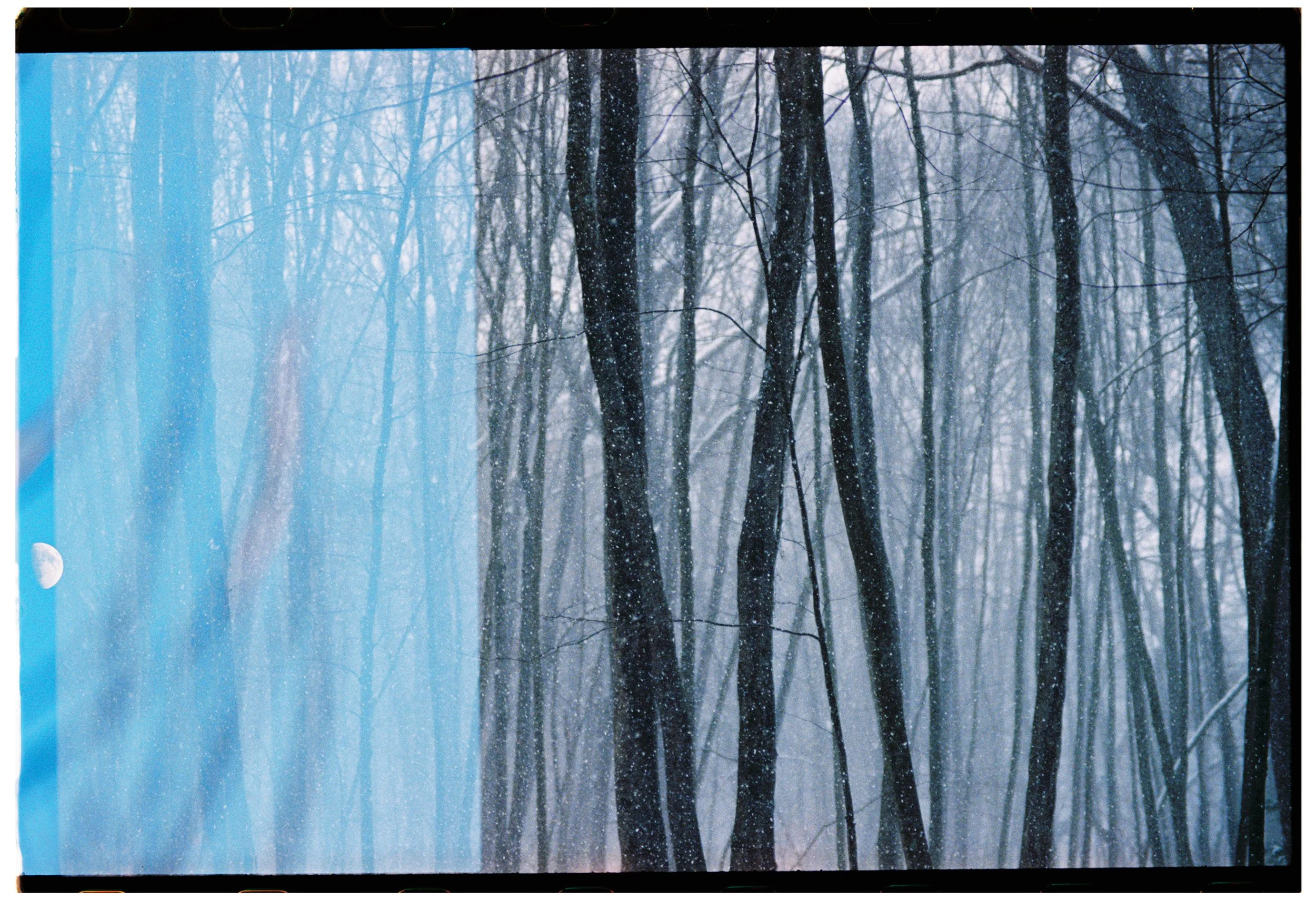 bw3886182924-R1-044-20A copy.jpg