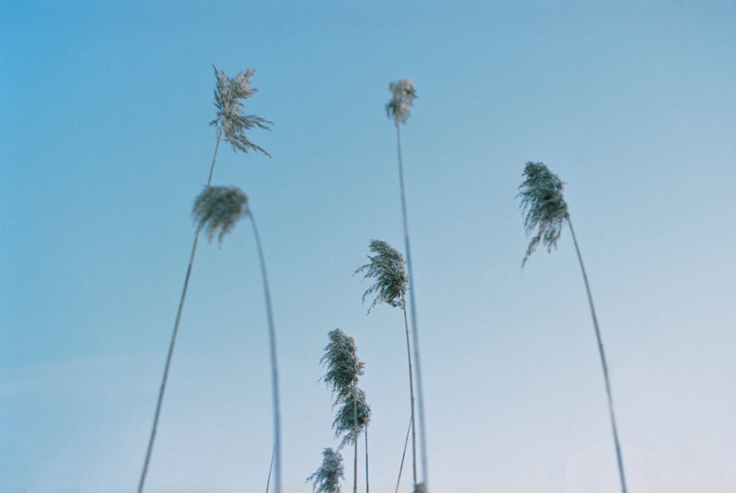 bw613179648-R1-019-8 copy.jpeg