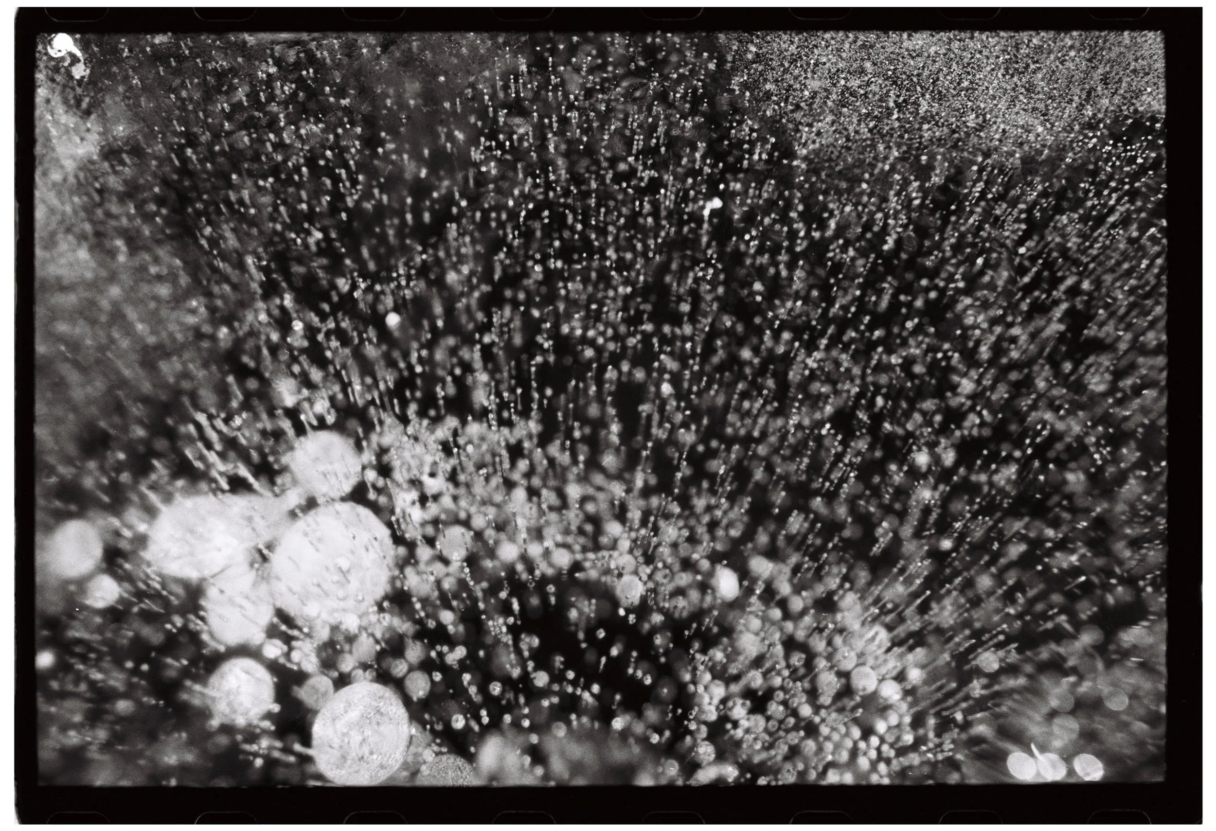 bw4698005152-R1-E034 copy.jpg