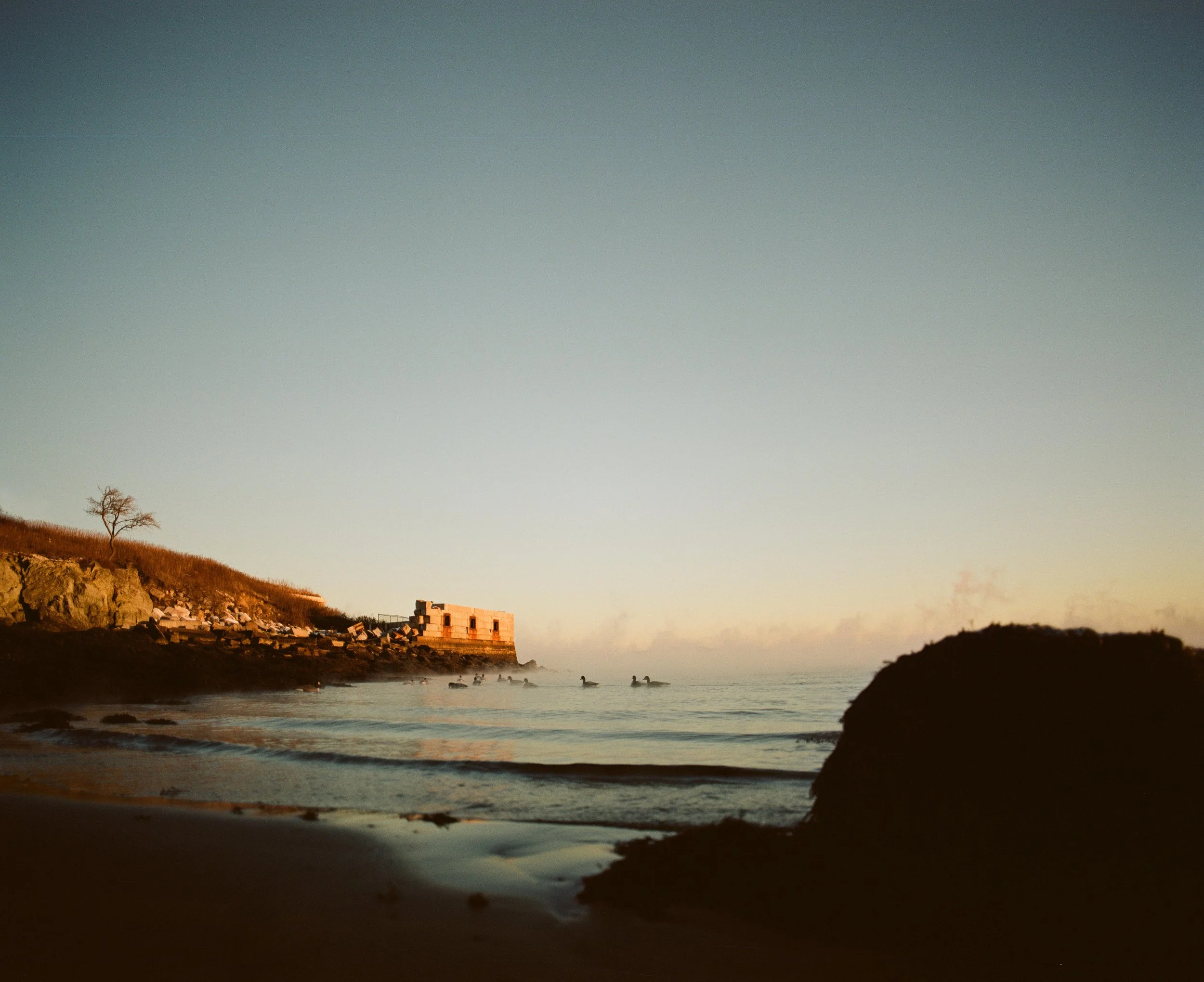 000038850009 copyc small.jpg