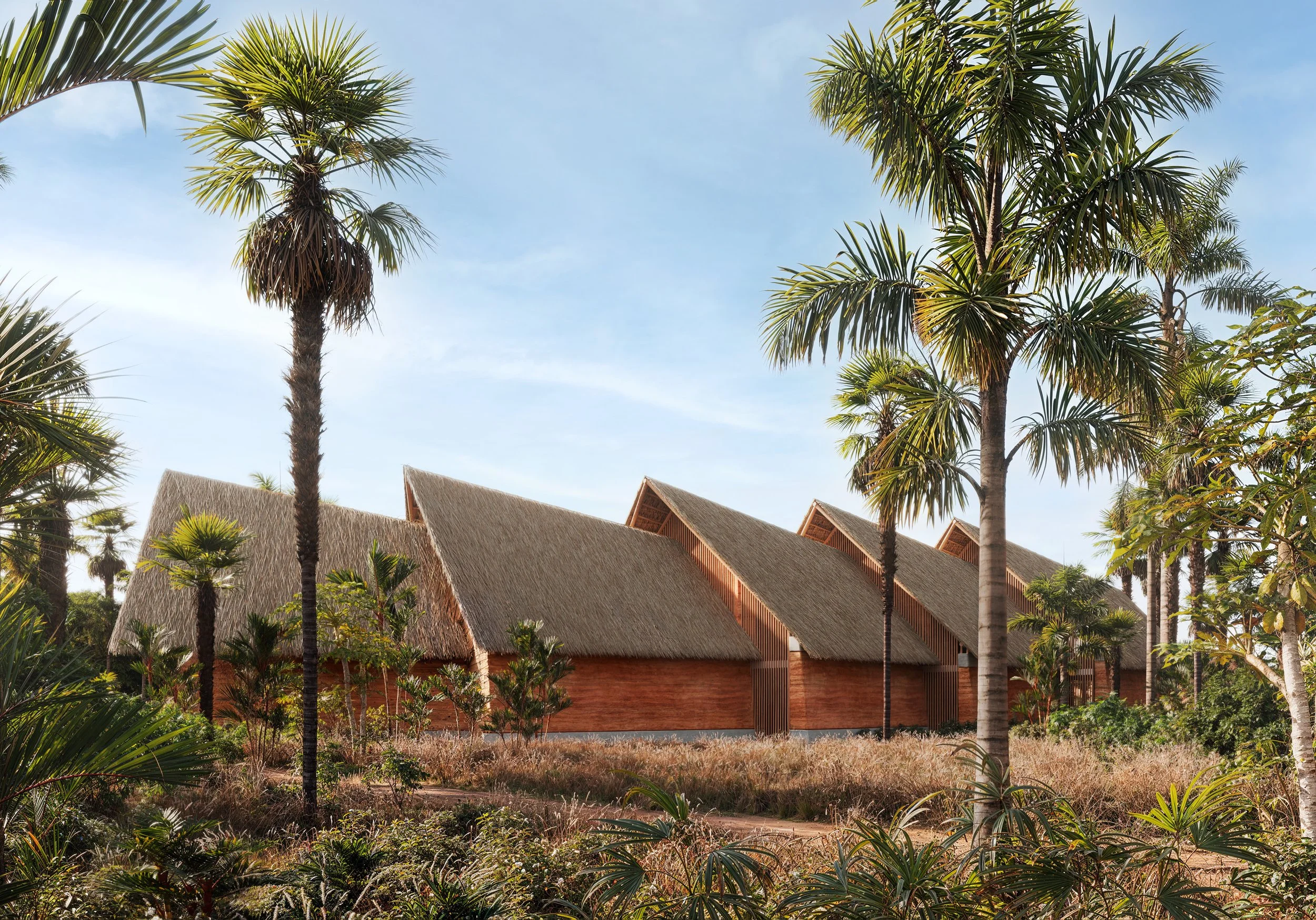 Casas tradicionales de palapa en un entorno tropical con palmeras y vegetación, bajo un cielo despejado.