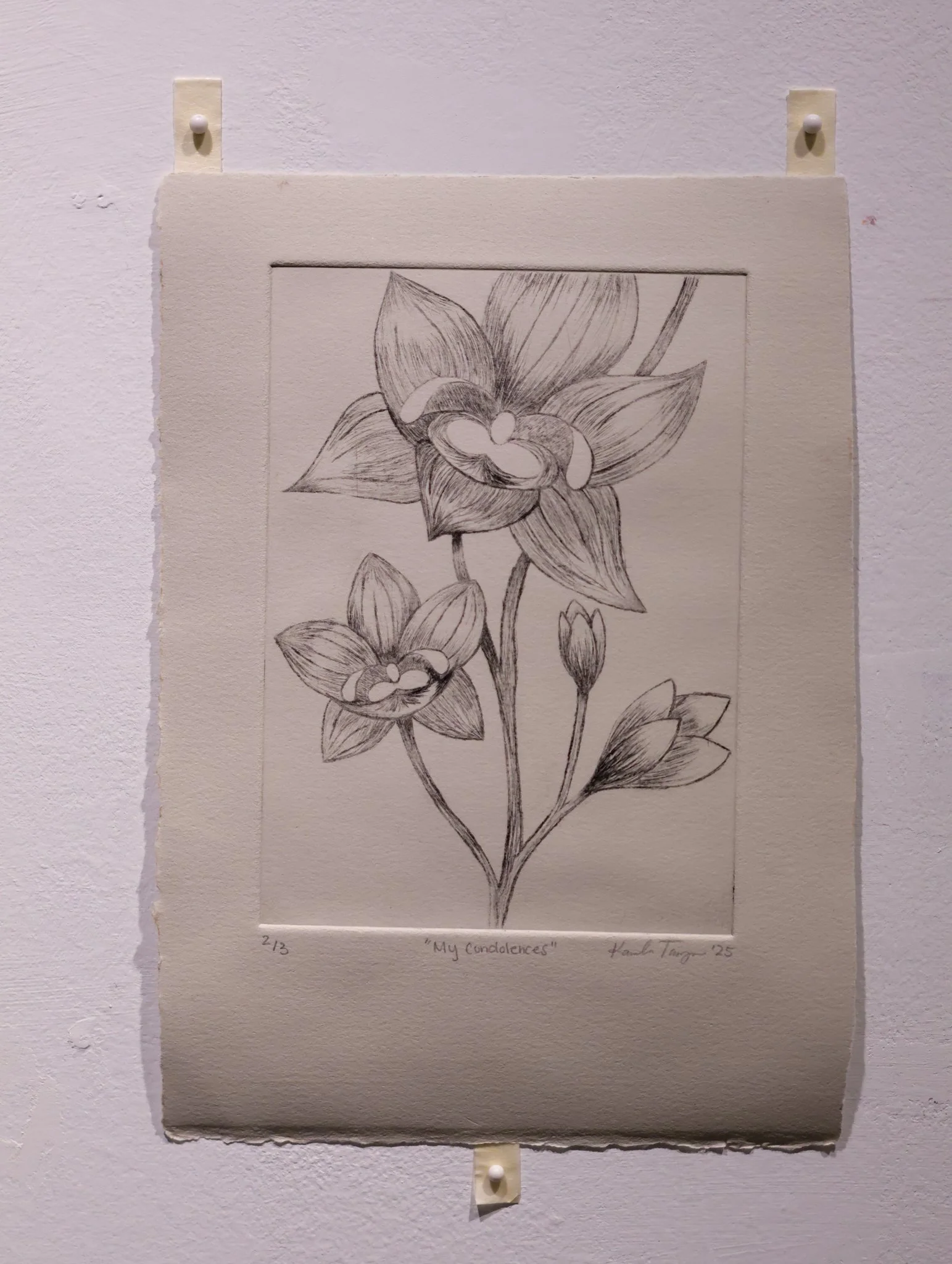 My Condolences (2), 2025