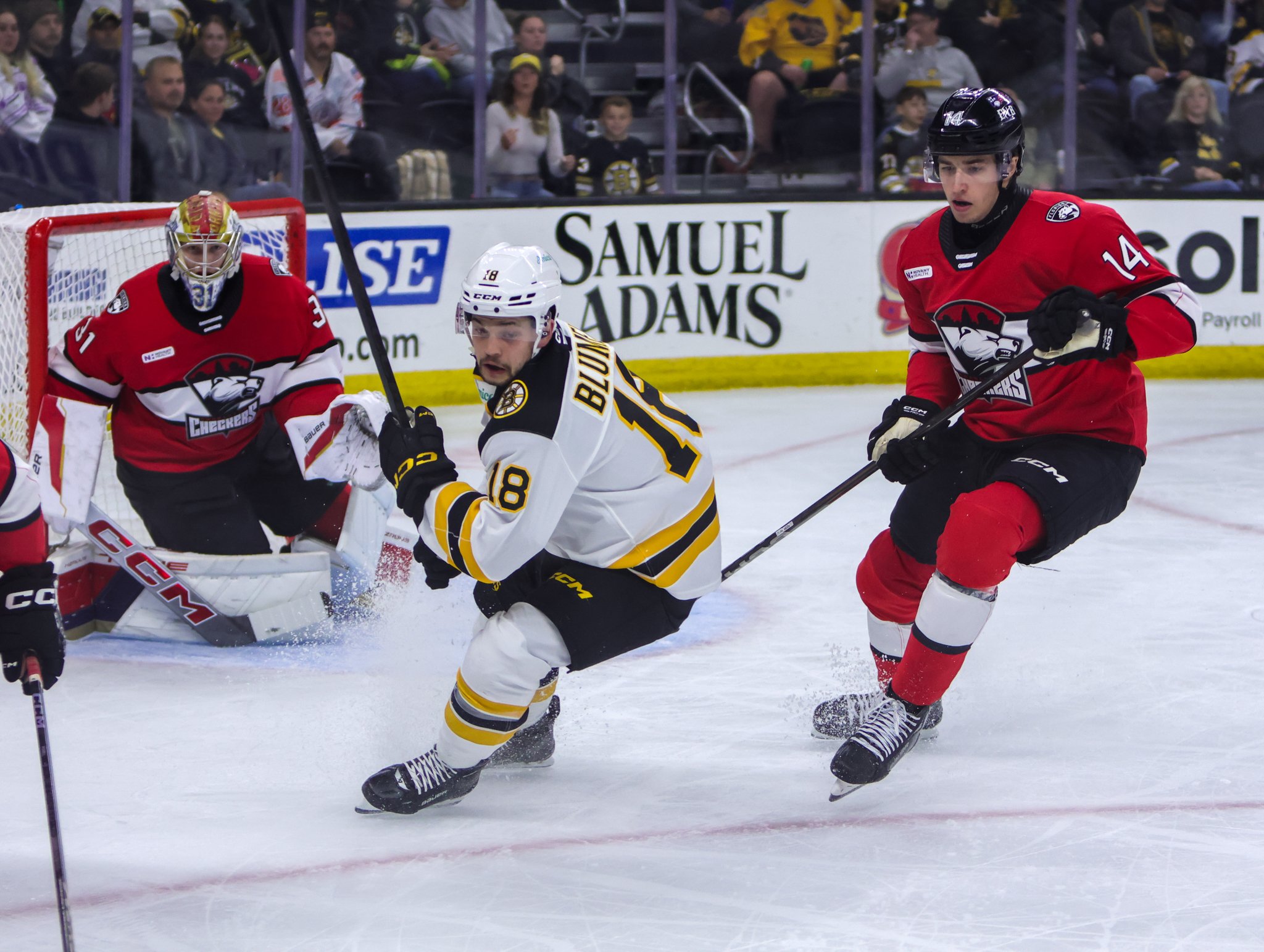 Providence Bruins 25-26