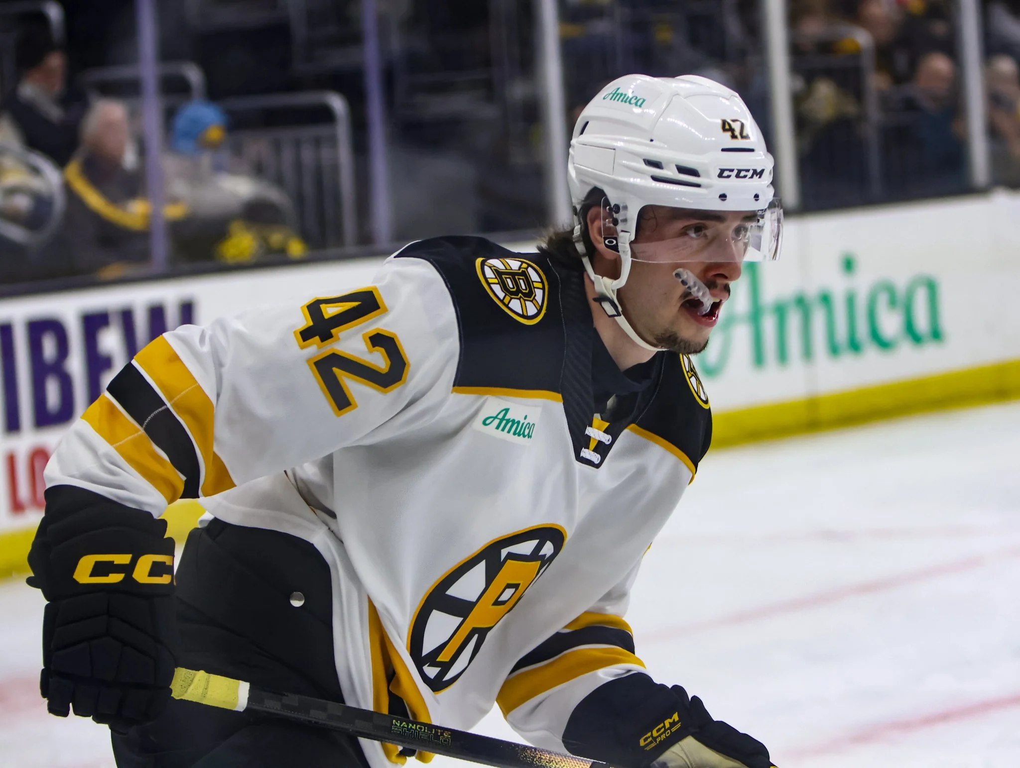 Providence Bruins 25-26