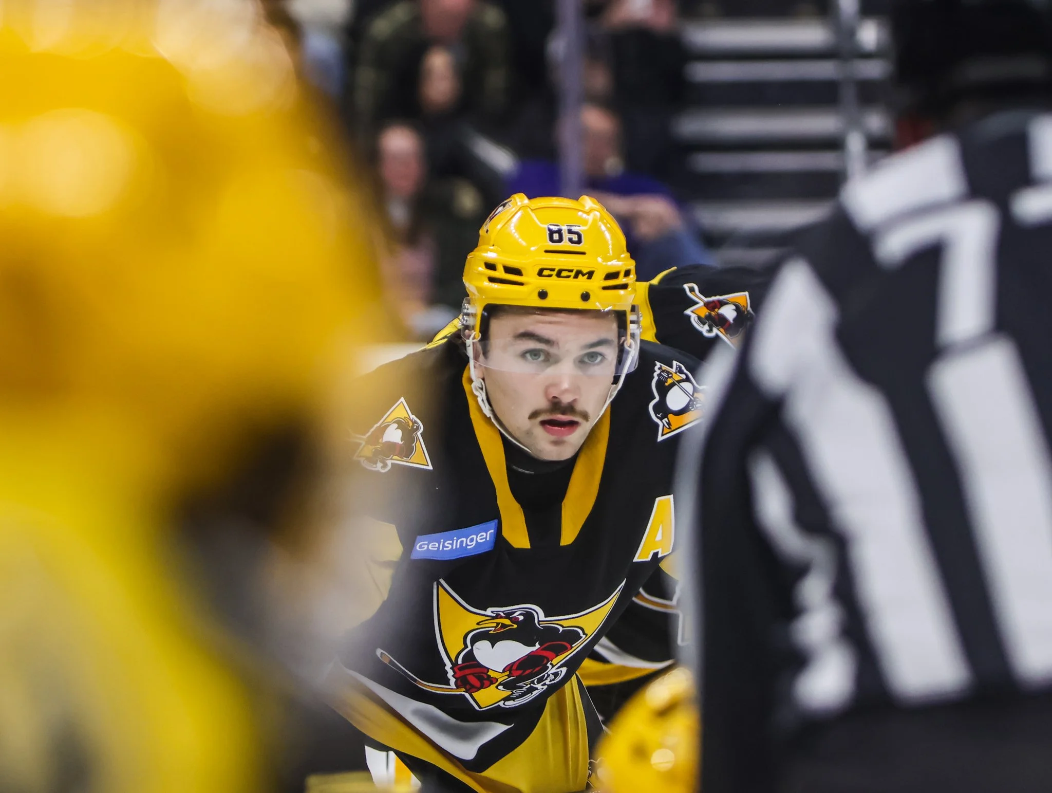 Scranton Penguins 25-26