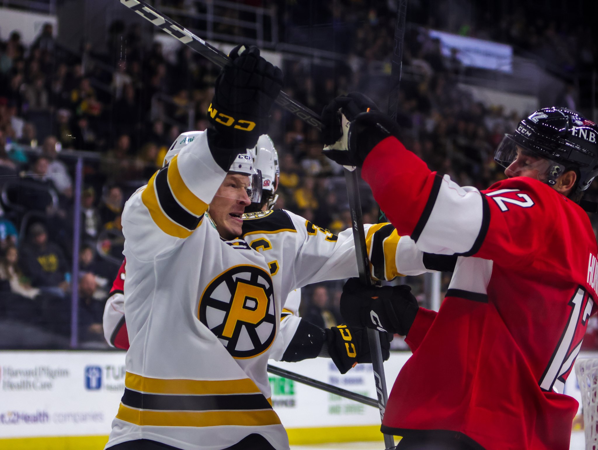 Providence Bruins 25-26