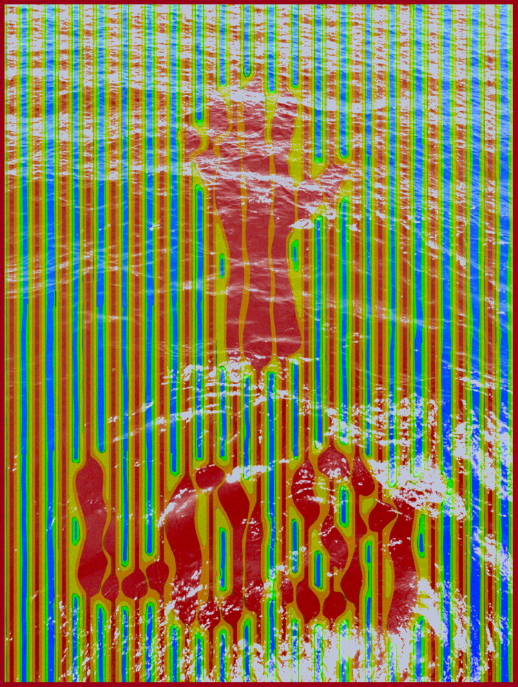 Foundation 2D Media, 2023