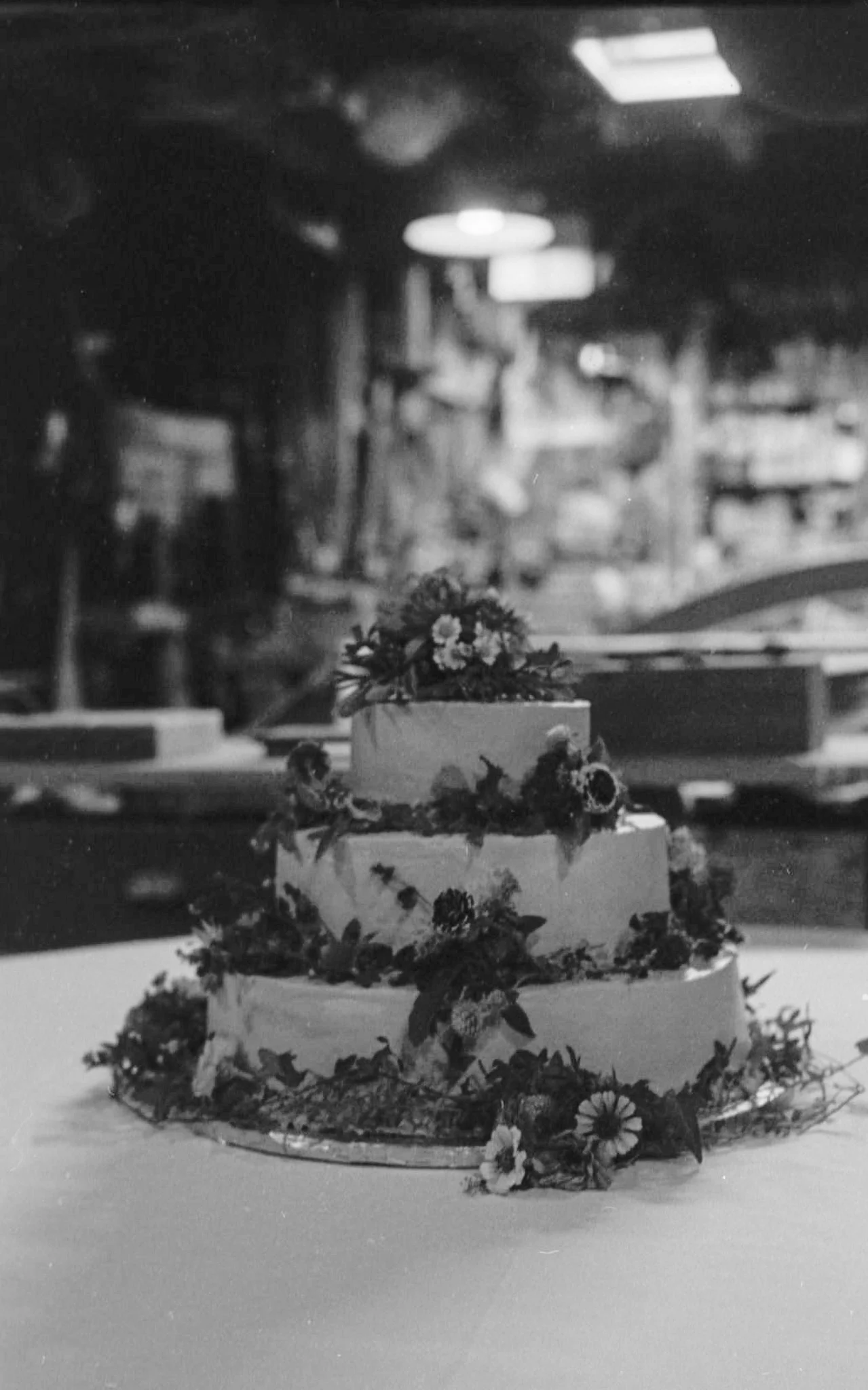 Ava + Wiley 35mm Film 2024