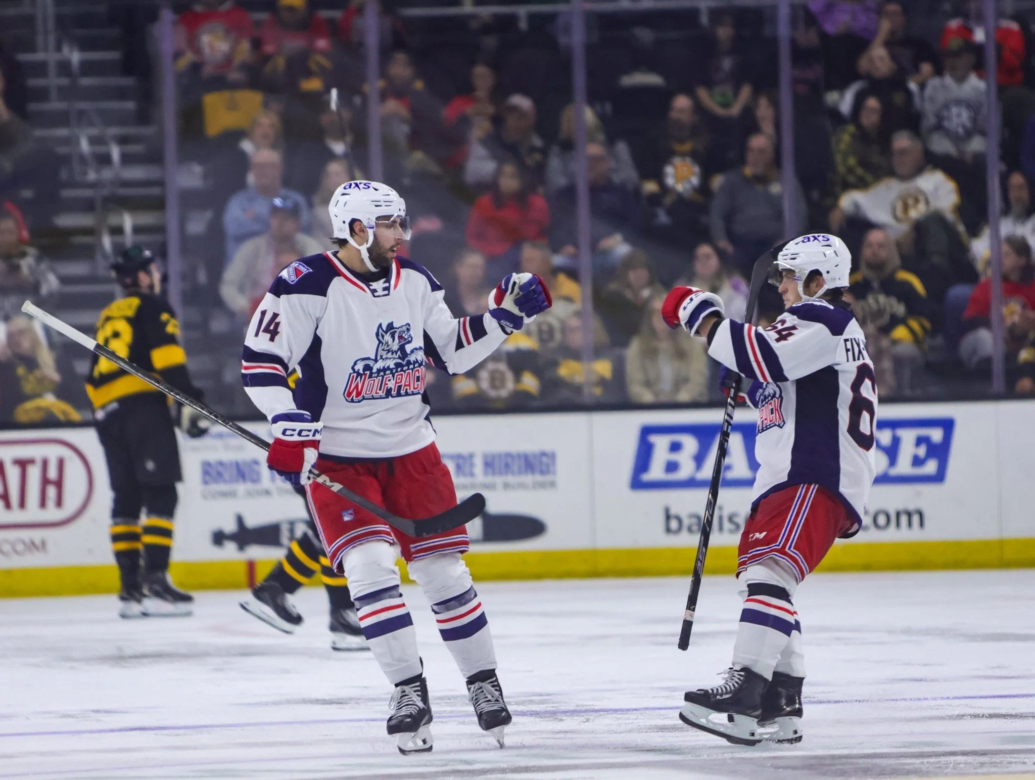 Hartford Wolf Pack 25-26
