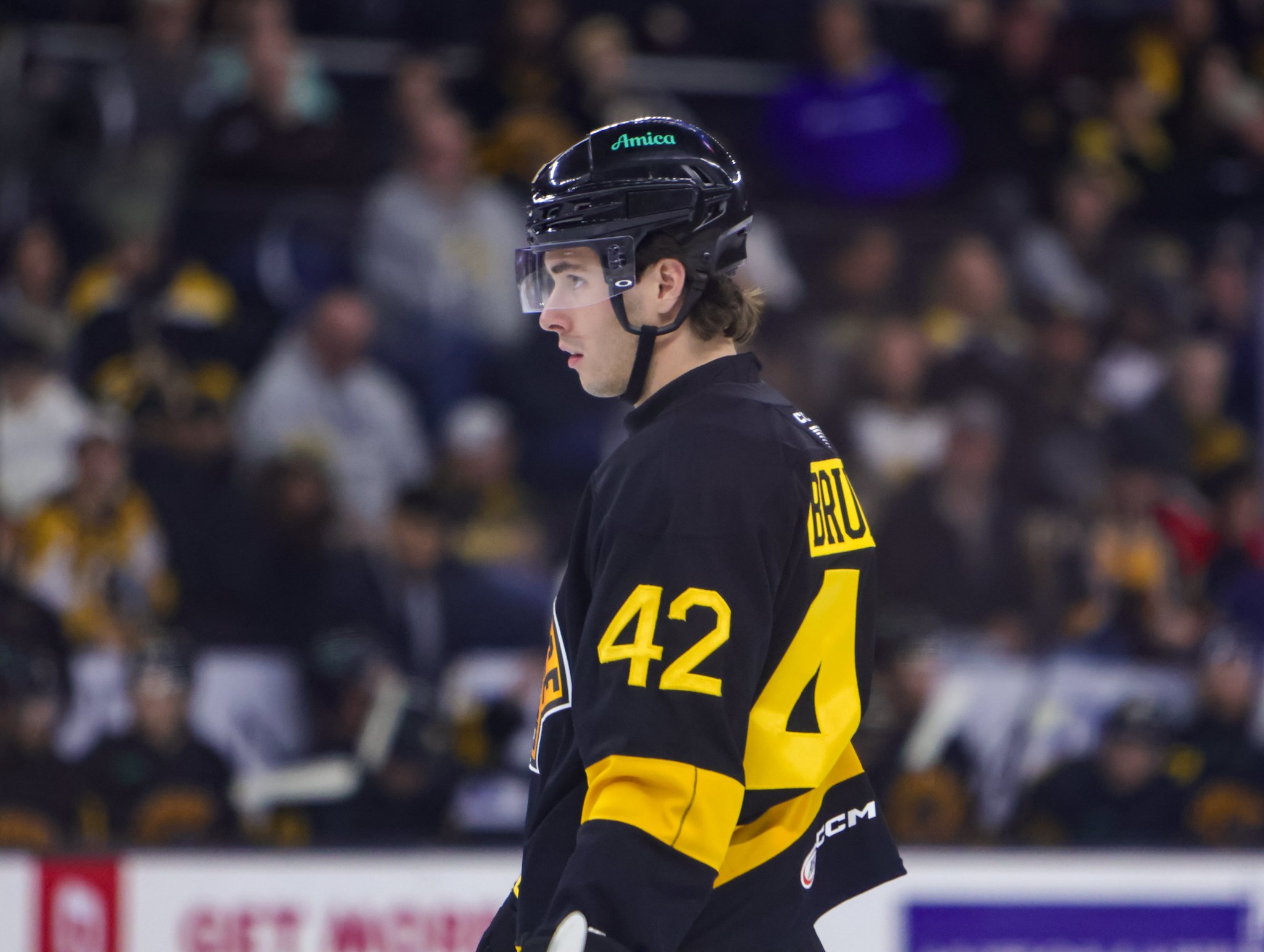 Providence Bruins 25-26