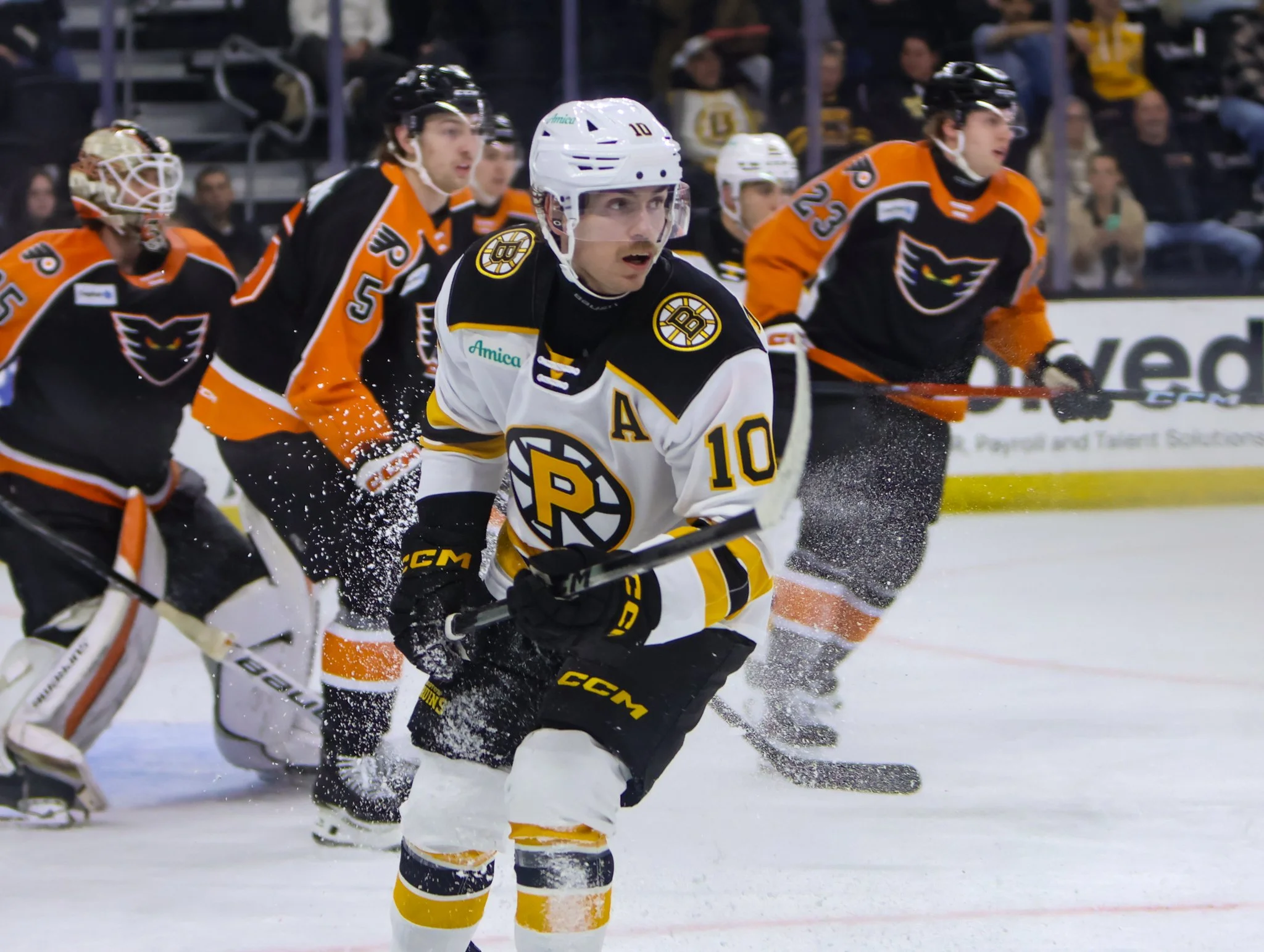 Providence Bruins 25-26