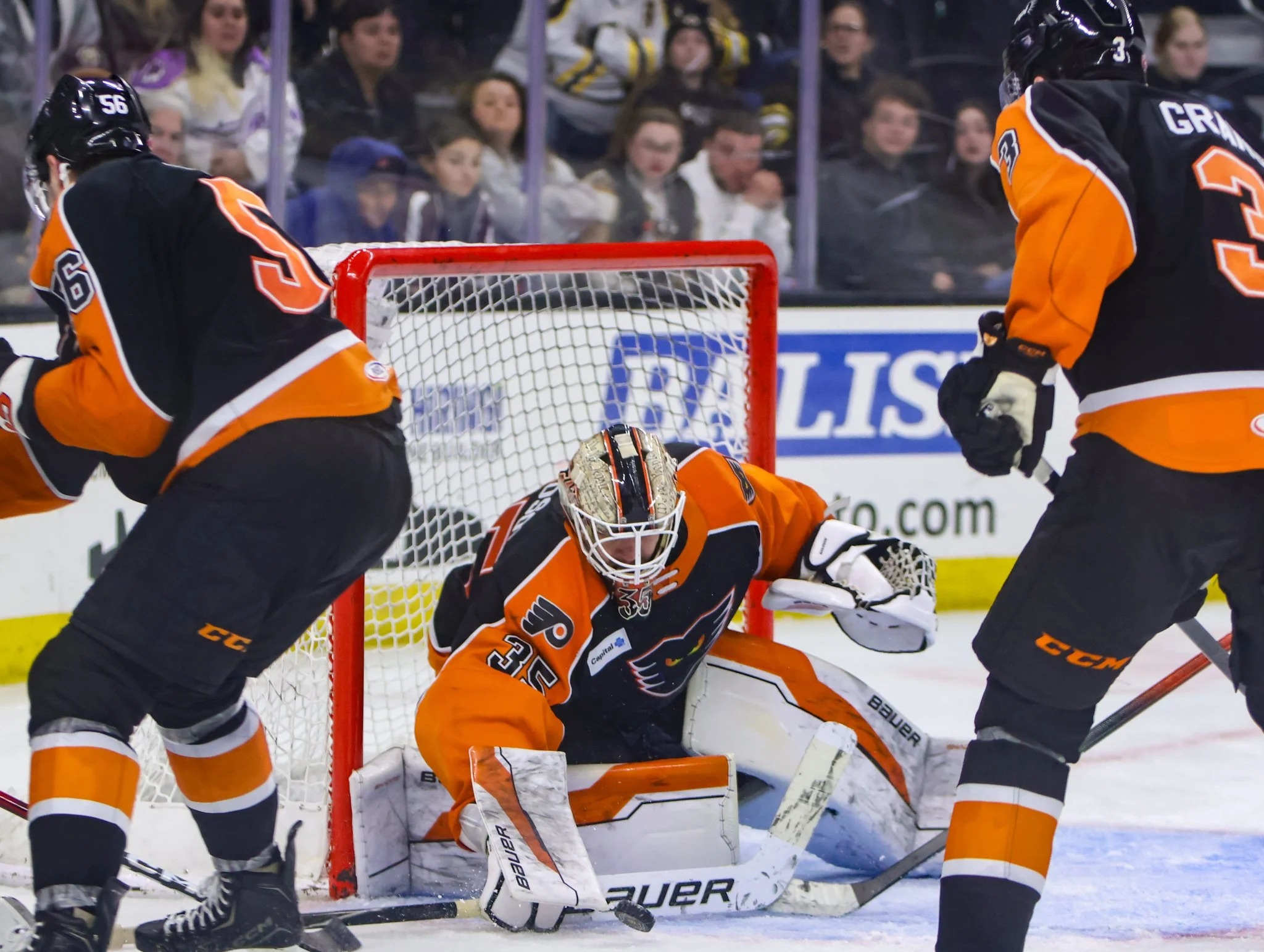 Lehigh Valley Phantoms 25-26