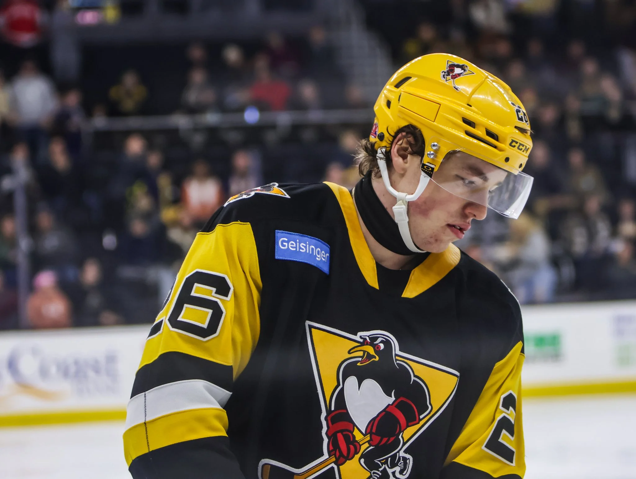 Scranton Penguins 25-26