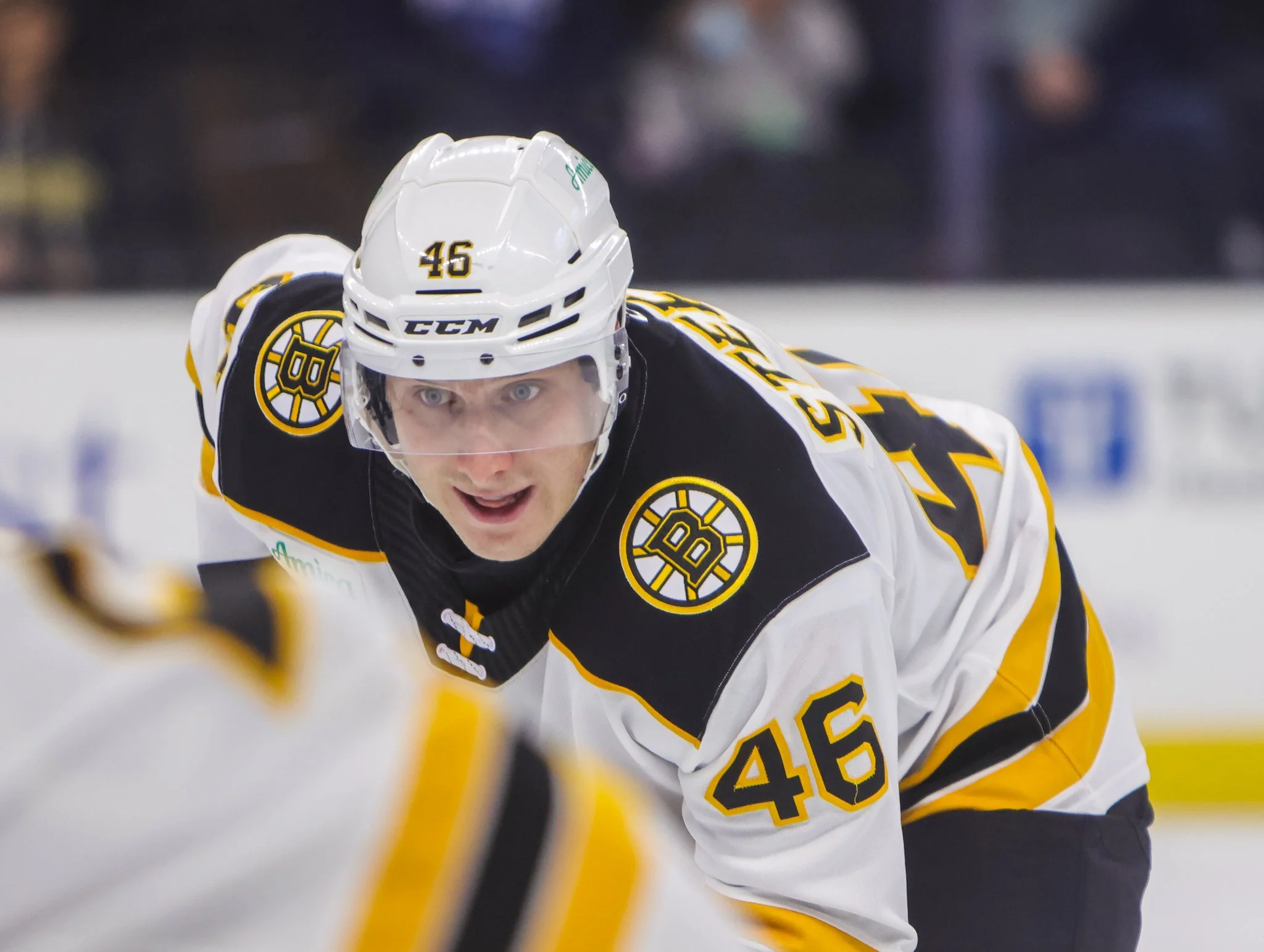 Providence Bruins 25-26