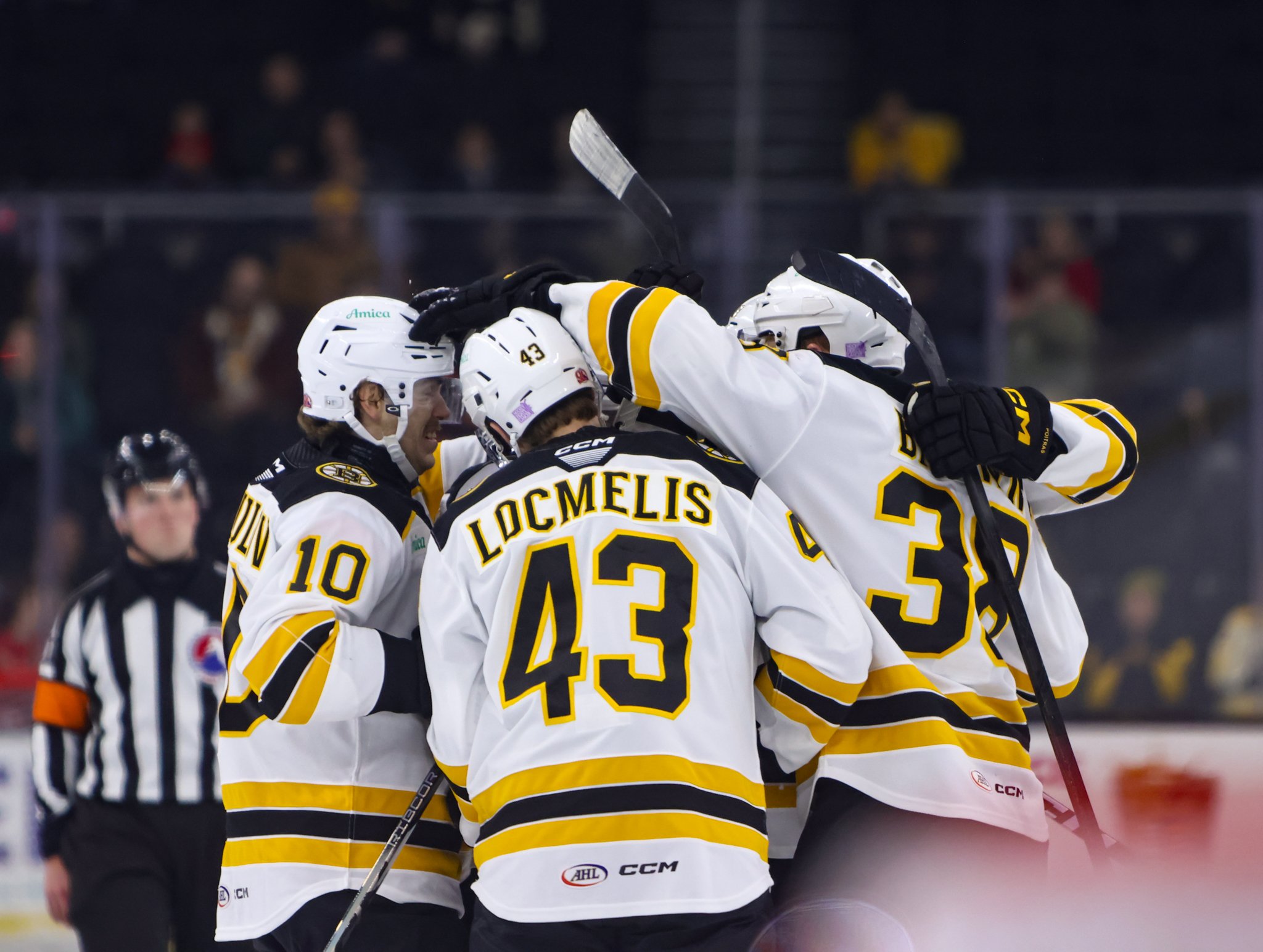 Providence Bruins 25-26