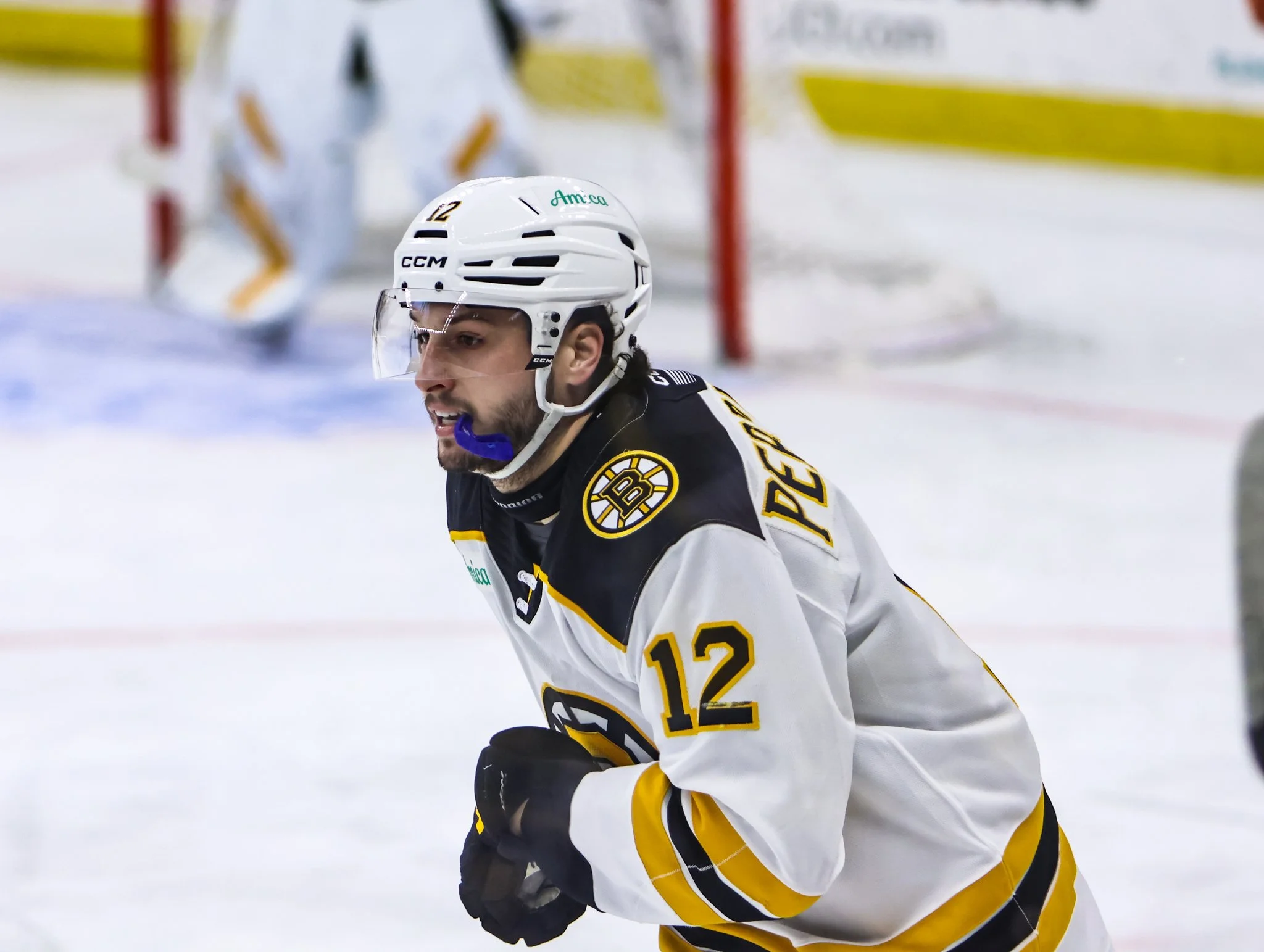 Providence Bruins 25-26