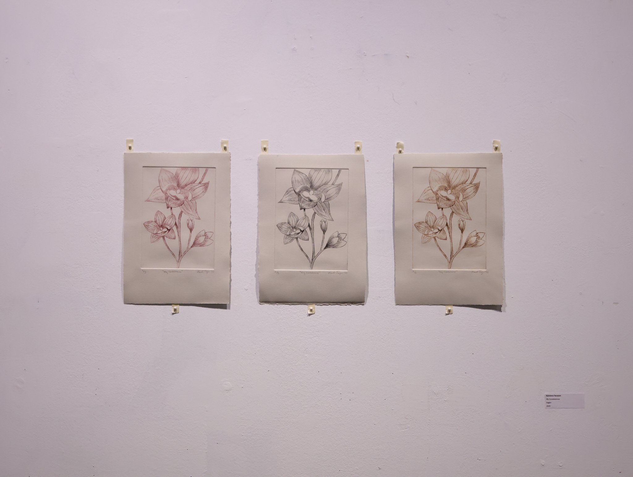 My Condolences, 2025