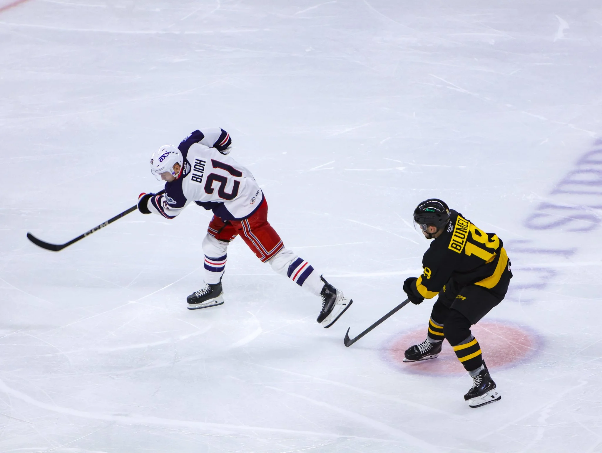 Hartford Wolf Pack 25-26