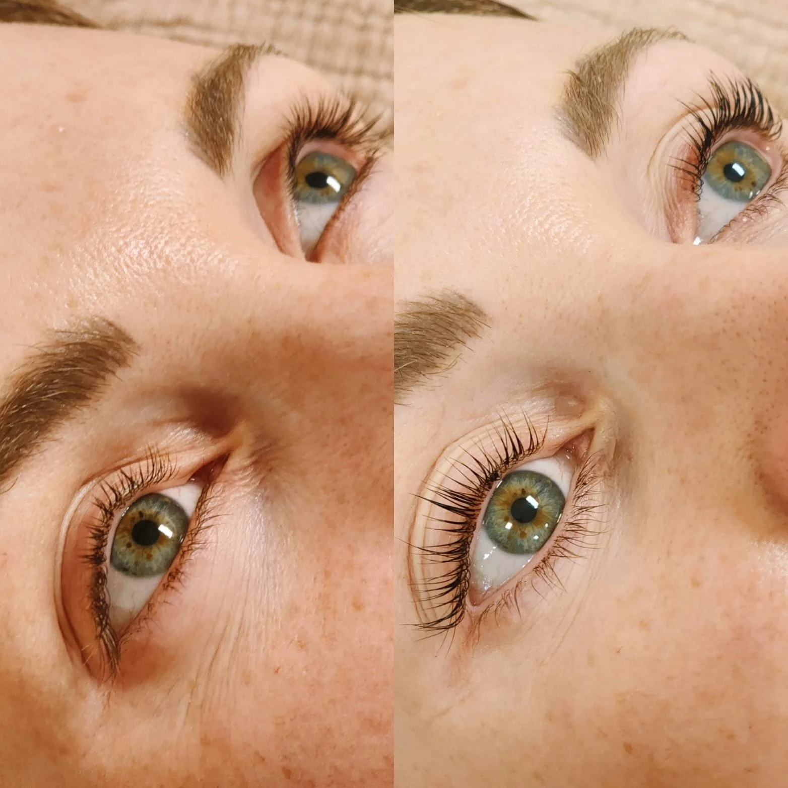 lash lift and hybrid dye.jpg