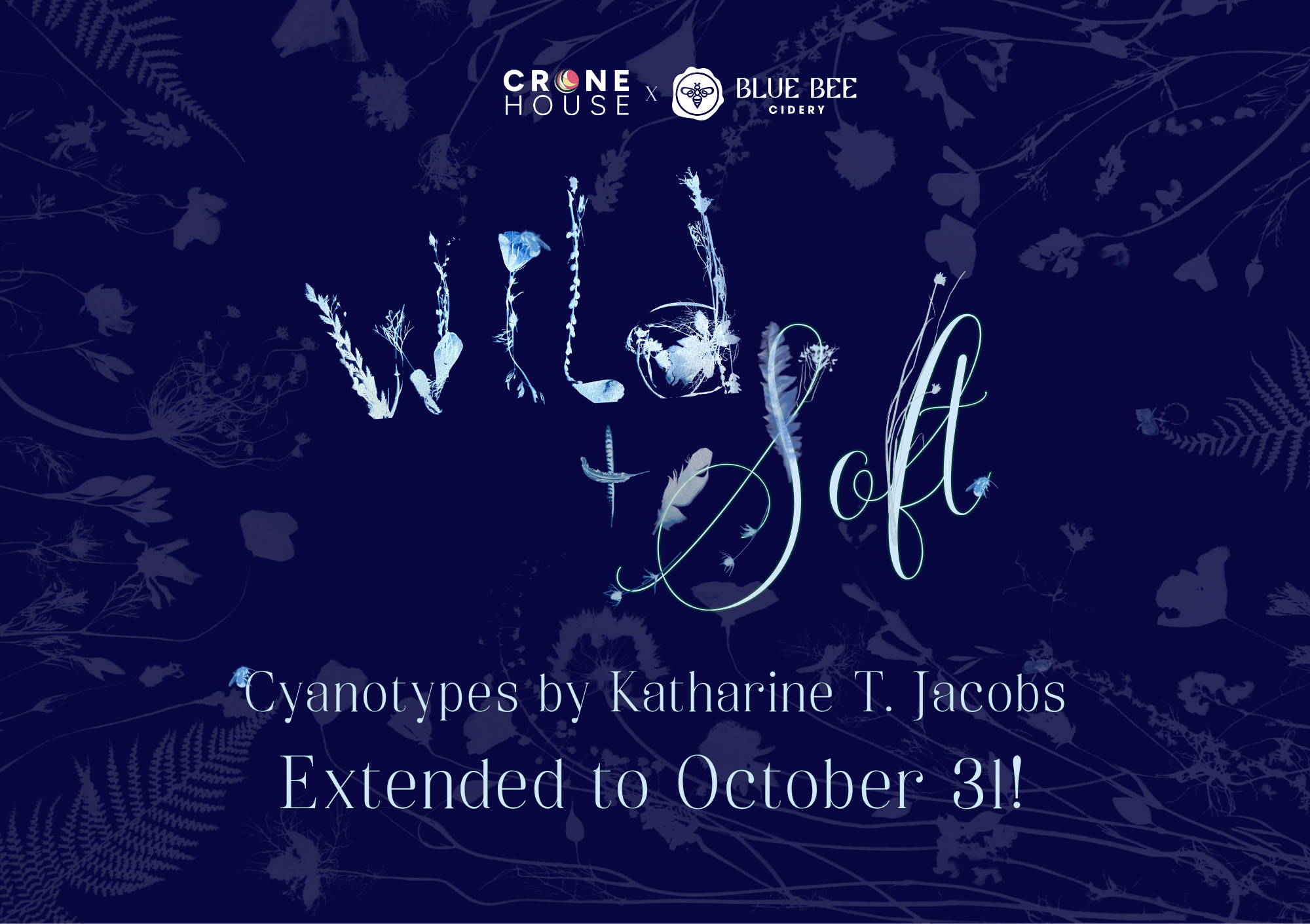 WILD & SOFT: CYANOTYPES BY KATHARINE T. JACOBS
