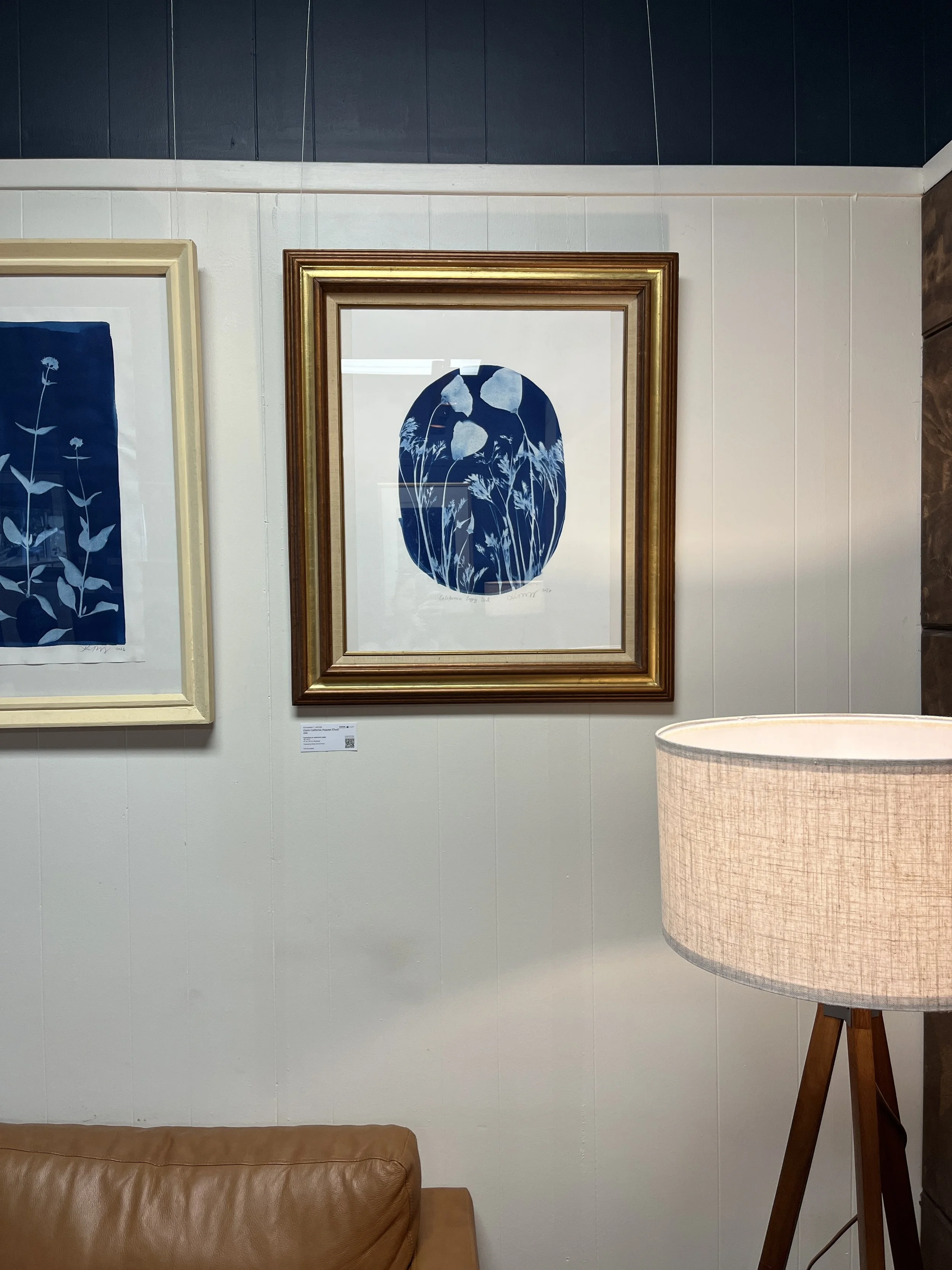 "Giant California Poppies" | Cyanotype by Katharine T. Jacobs at Blue Bee Cider | Crone House in Richmond, VA