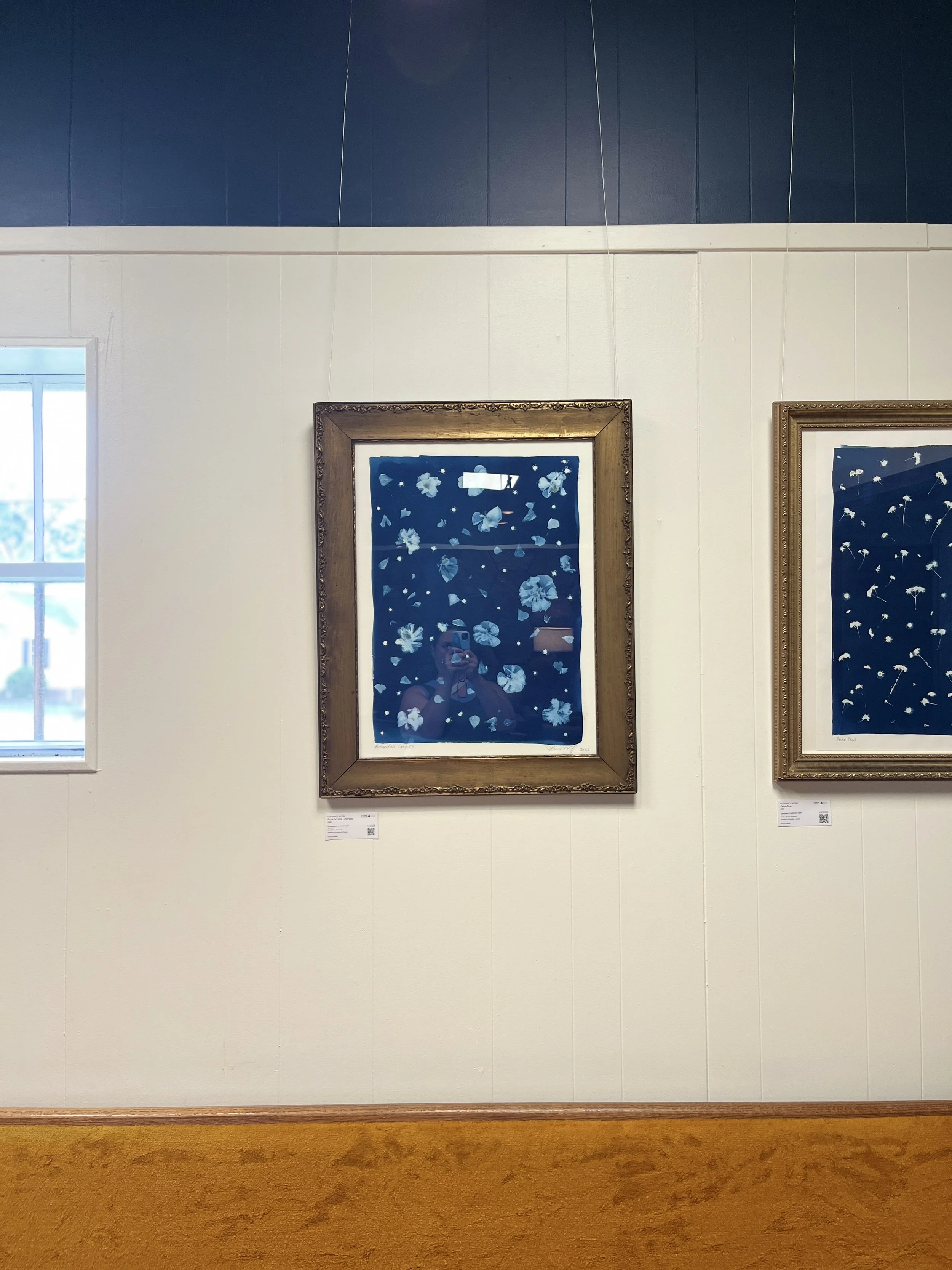 "Ranunculus Confetti" | Cyanotype by Katharine T. Jacobs at Blue Bee Cider | Crone House in Richmond, VA