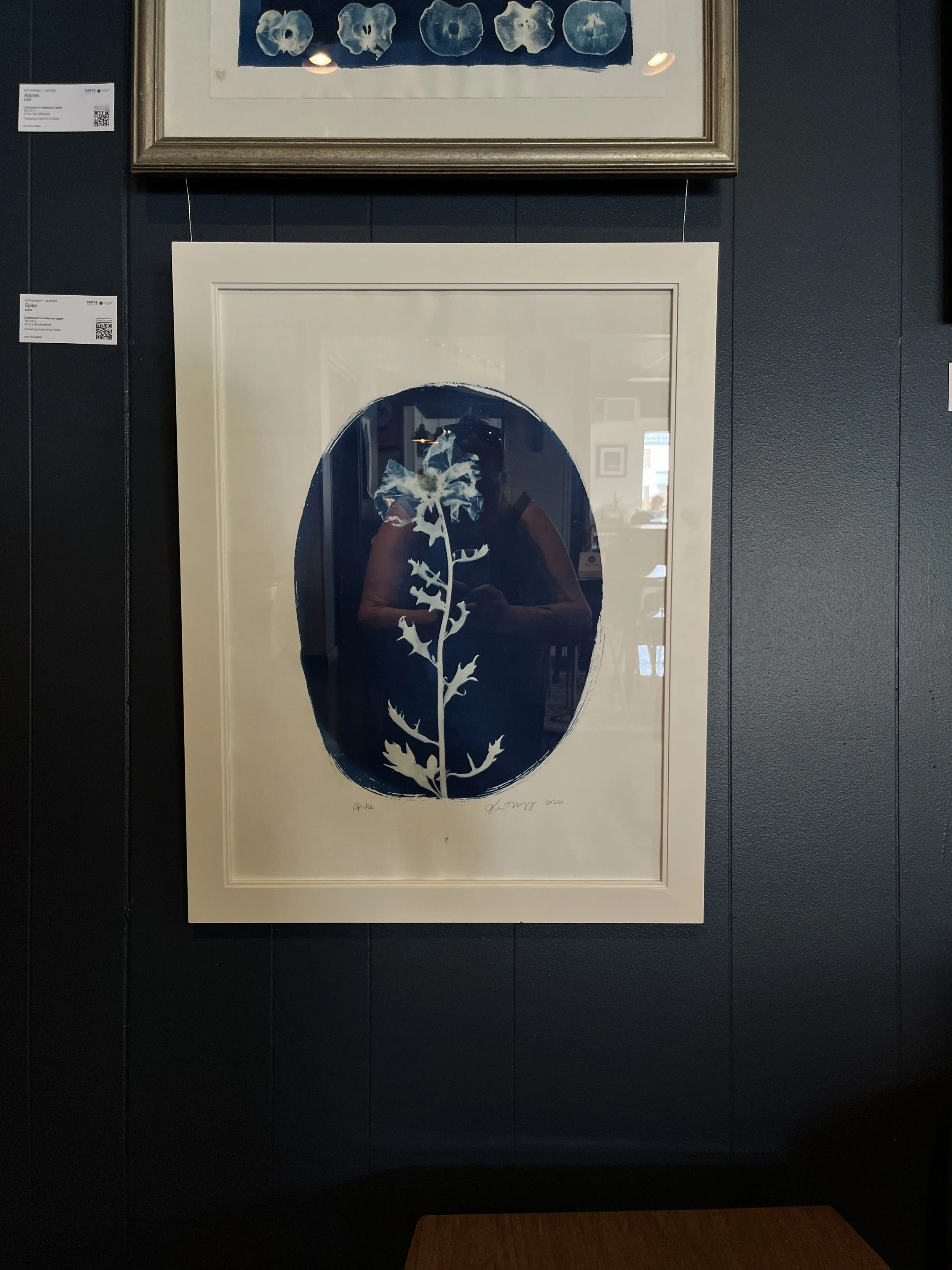 "Spike" | Cyanotype by Katharine T. Jacobs at Blue Bee Cider | Crone House in Richmond, VA