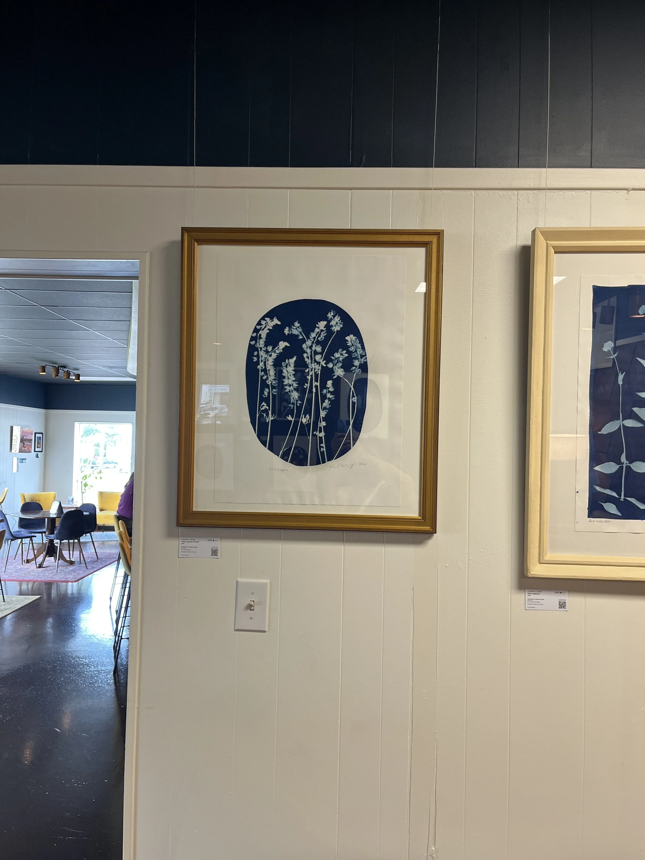 "Wild Lupine" Cyanotype by Katharine T. Jacobs at Blue Bee Cider | The Crone House in Richmond, VA